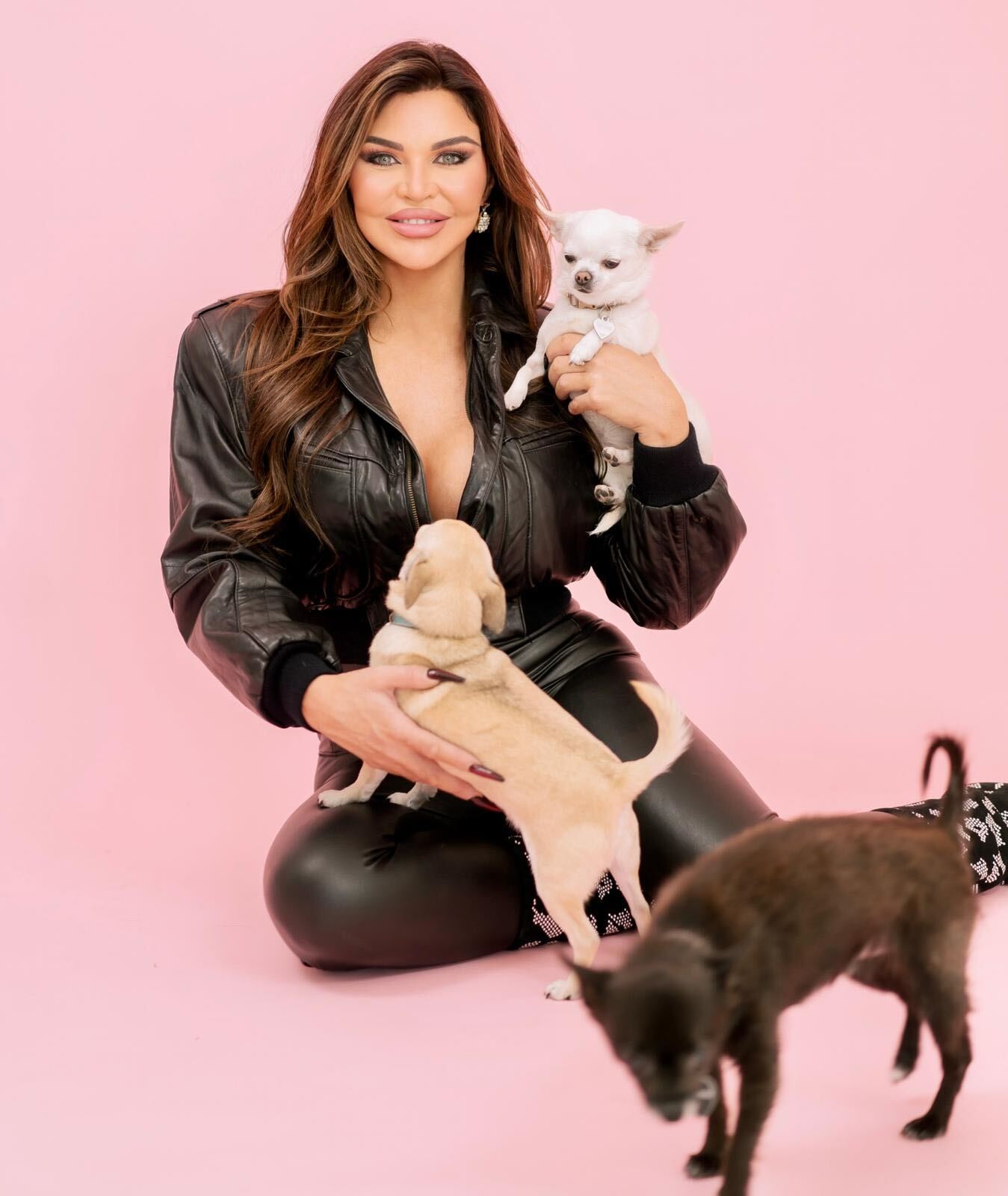 Madison Ashton with her three chihuahuas, Brock, Daddy  and Chanel.