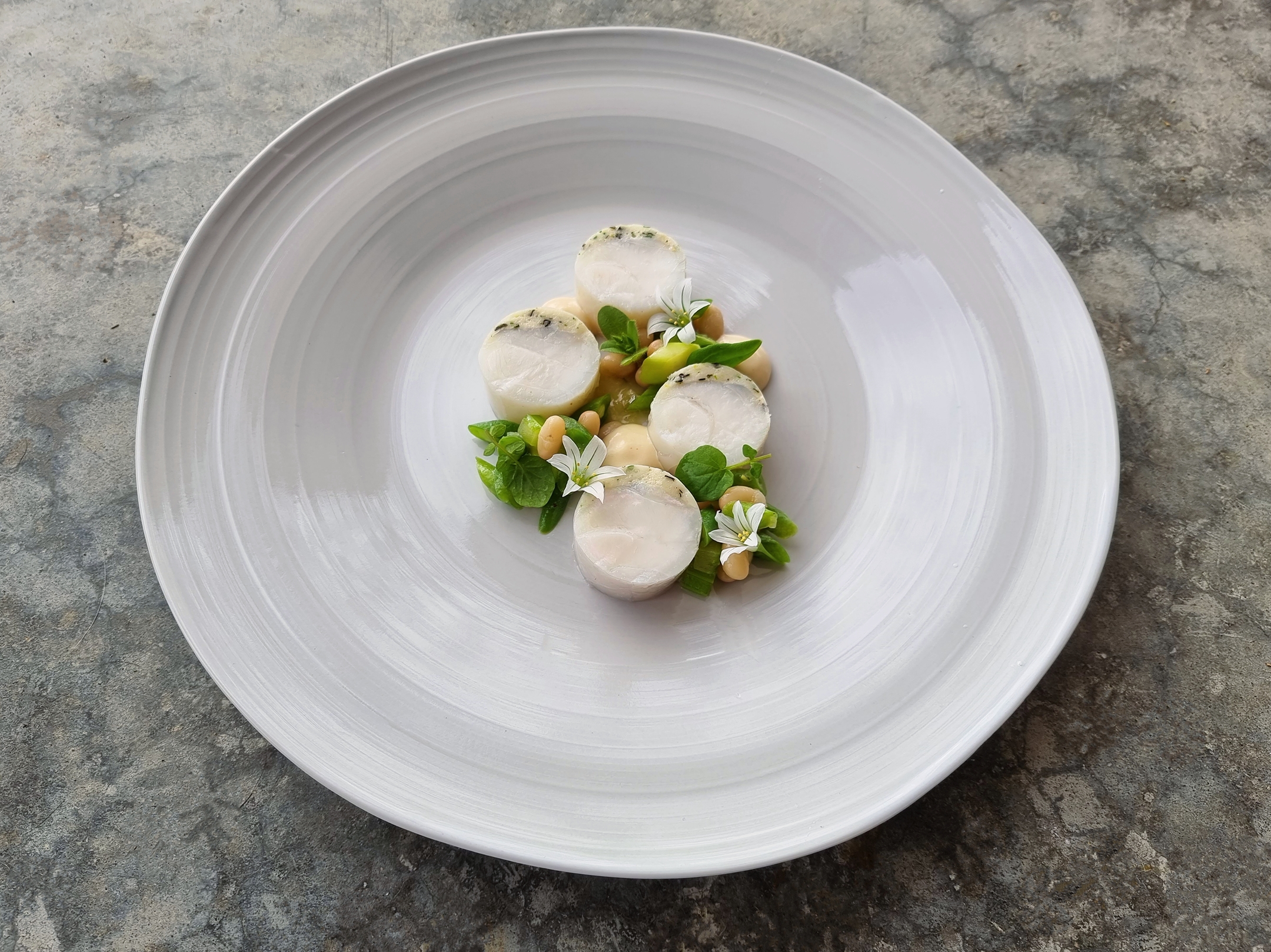 Fisherman Troy's hāpuka with locally grown white beans and flowering alliums, from the menu at Blenheim restaurant Arbour. Photo / Liz Buttimore 