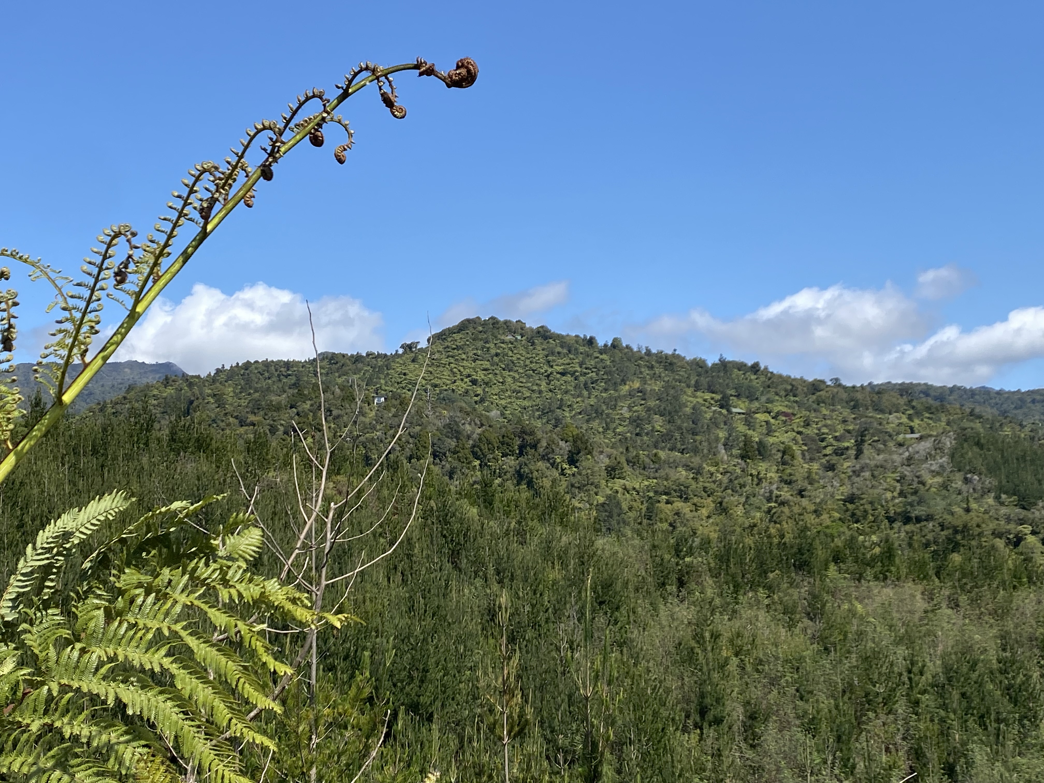 Waitekohekohe Recreational Park has officially opened.