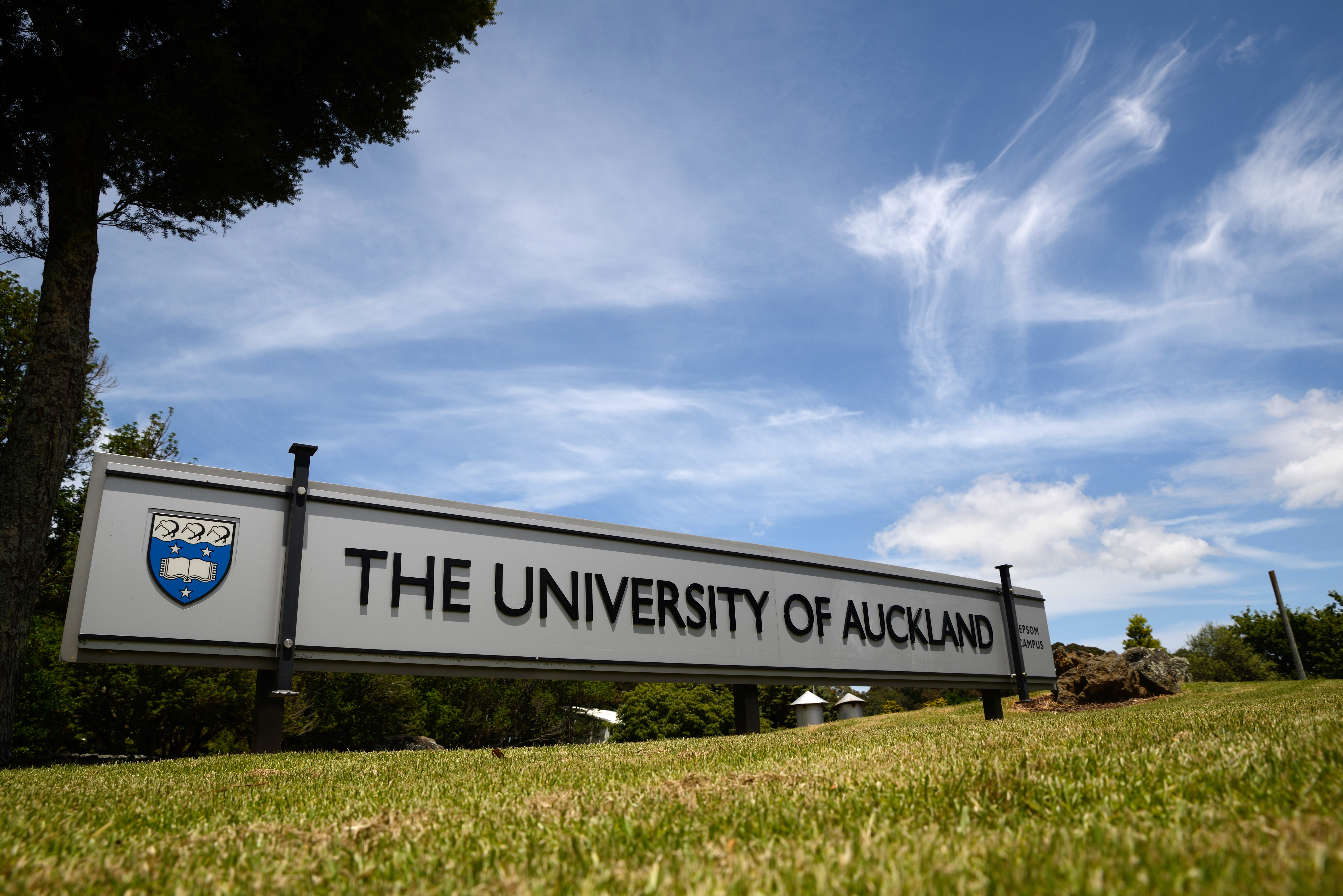 University of Auckland.