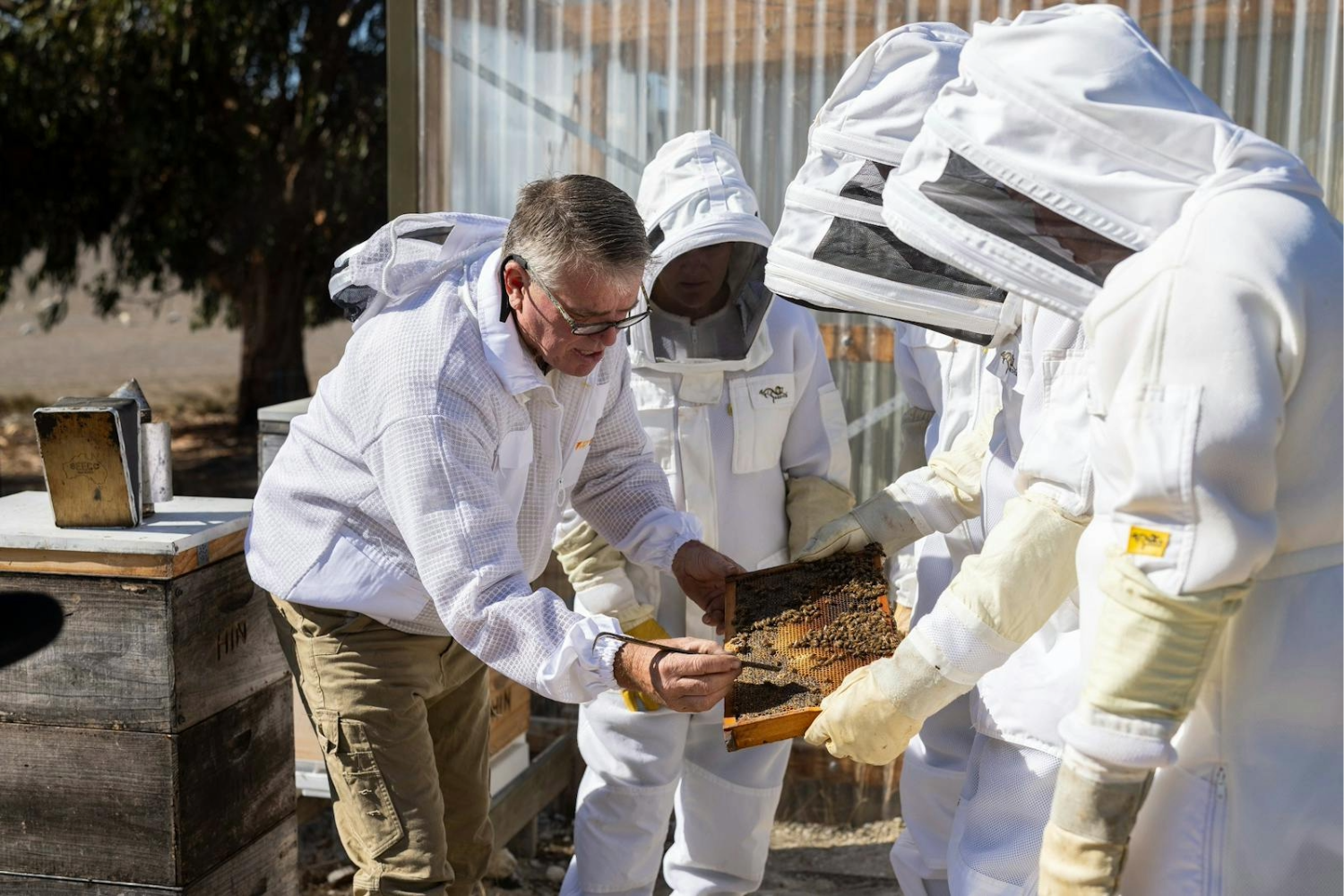 Kangaroo Island Living Honey extracts about 26 tonnes of honey from 350 hives around the island. 