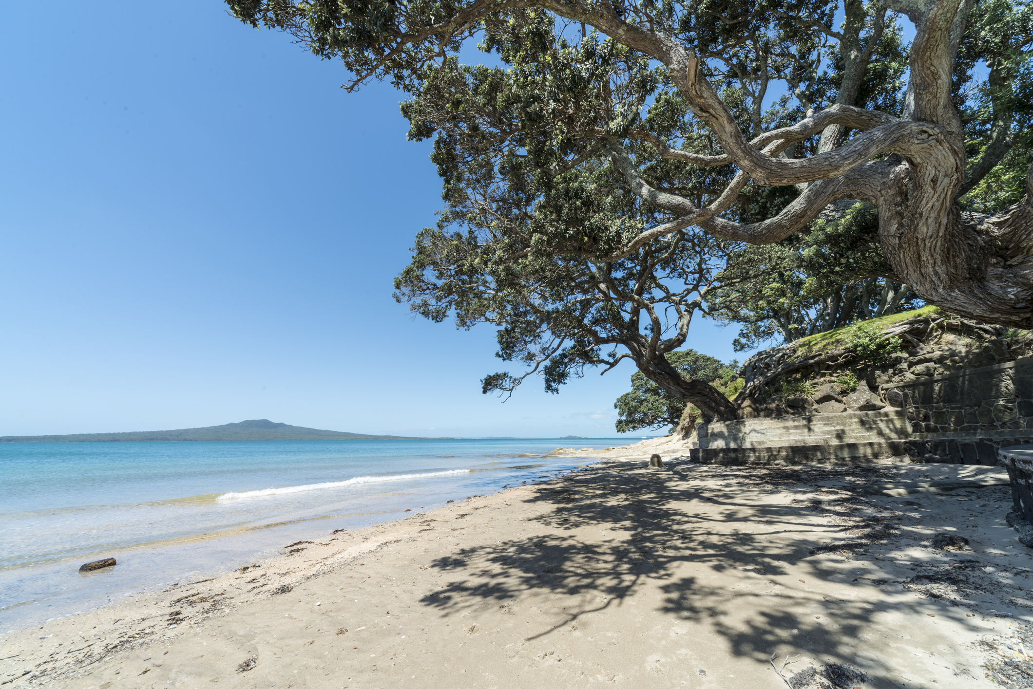 Narrow Neck Beach feels