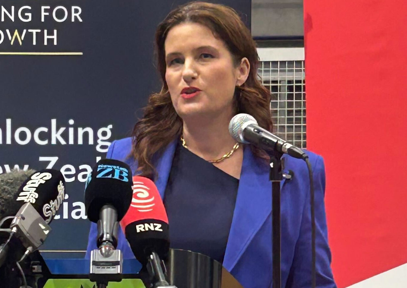 Finance Minister Nicola Willis said the Government plans to cut 'billions' of dollars worth of programmes started under the previous governments. Photo / Adam Pearse