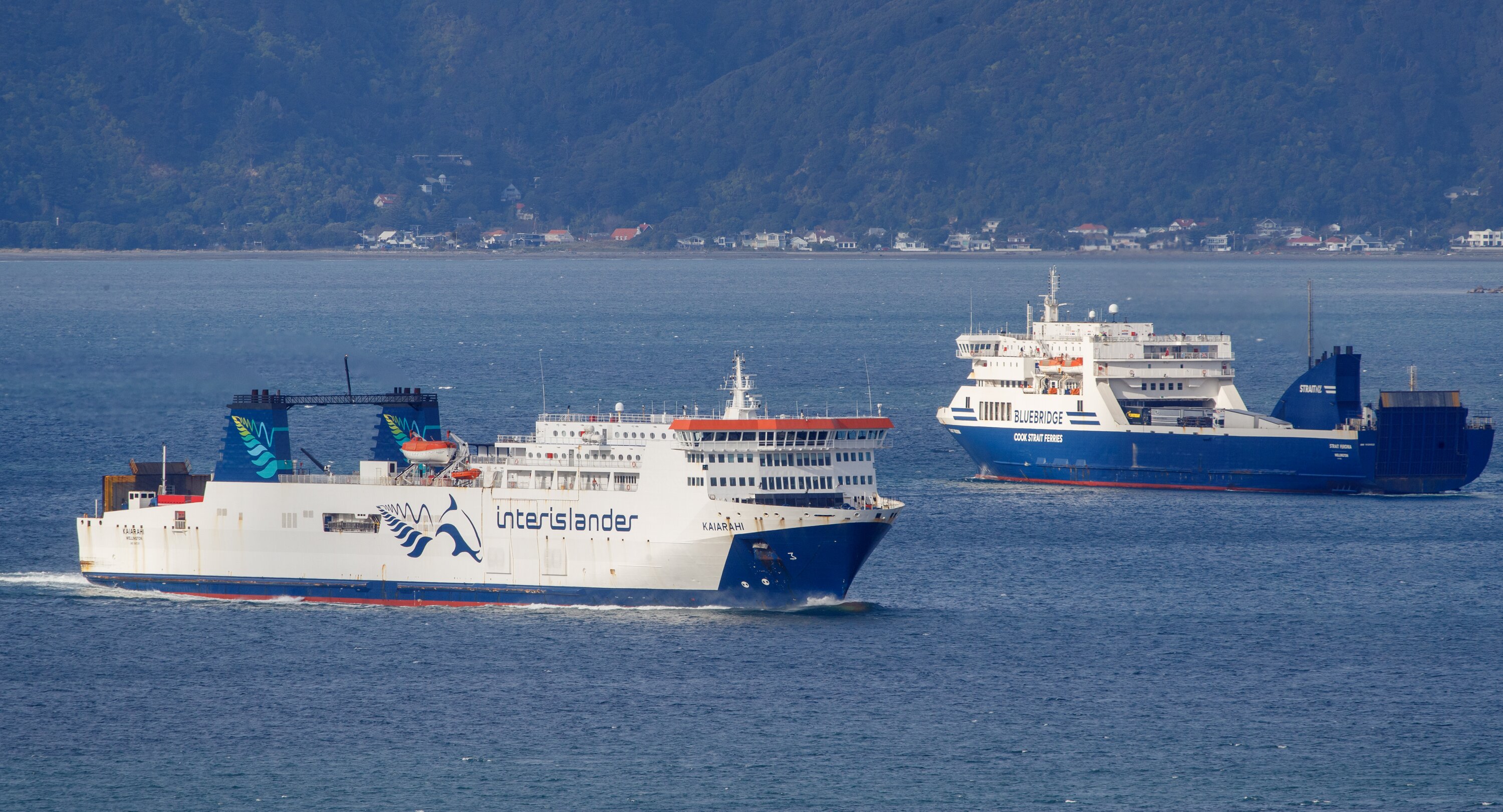 Several Cook Strait ferry sailings run by Interislander and Bluebridge have been cancelled today, with more disruption expected over the coming days. Photo / Mark Mitchell