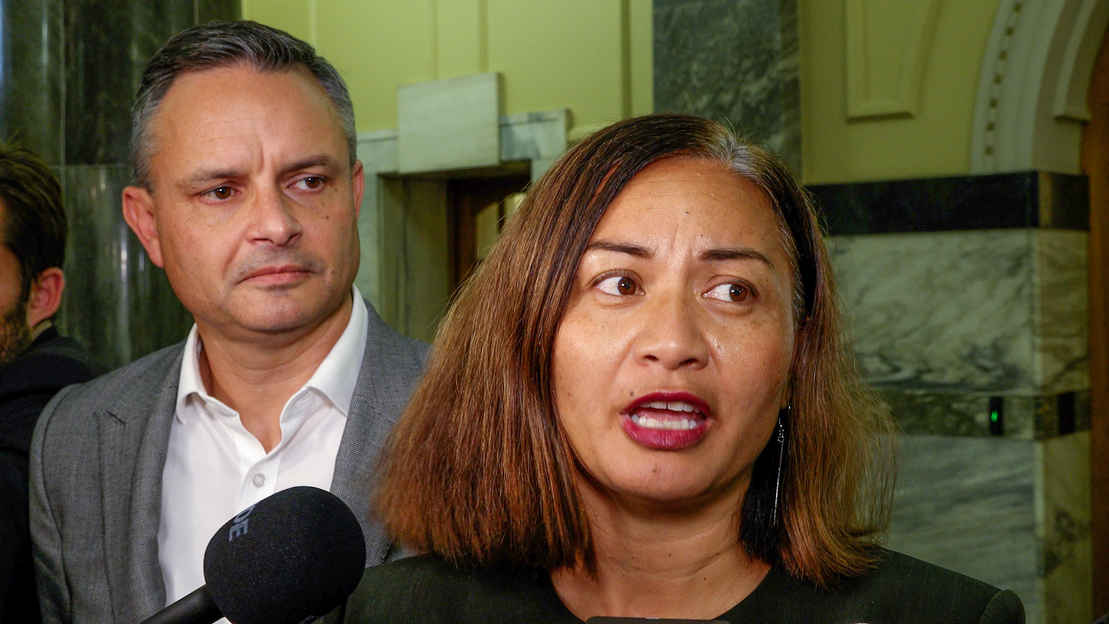 Greens co-leaders James Shaw and Marama Davidson. Photo / Mark Mitchell