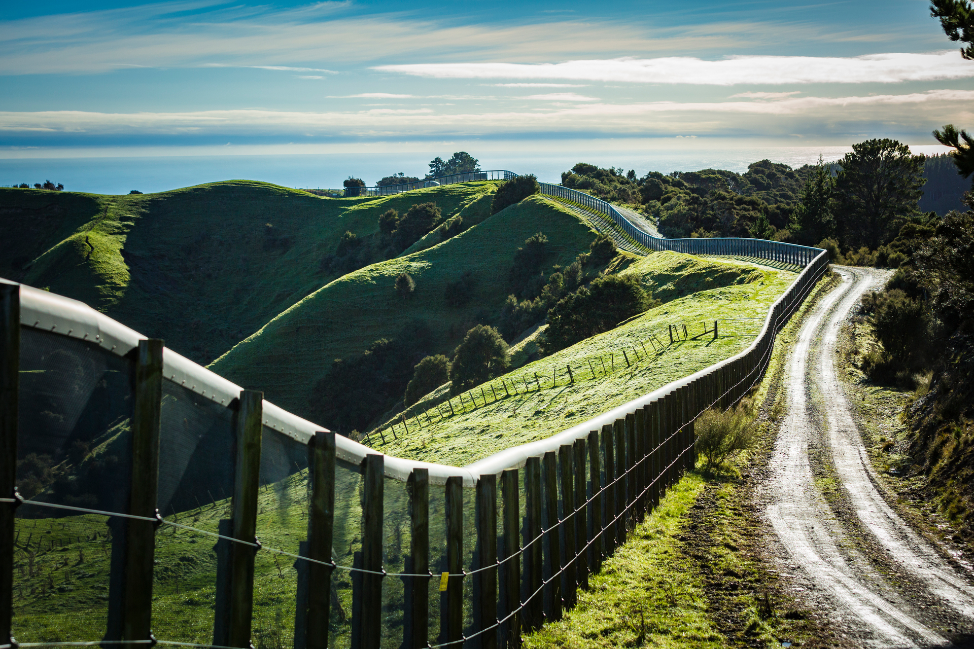The Cape Sanctuary is a 2500-hectare privately owned nature reserve at Cape Kidnappers peninsula. It has been criticised for its handling and treatment of kiwi. Photo / NZME