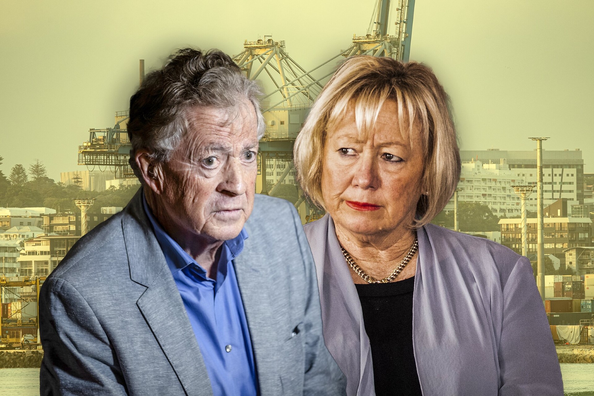 Councillors Mike Lee and Christine Fletcher go head to head on the pros and cons of the Auckland Future Fund.
