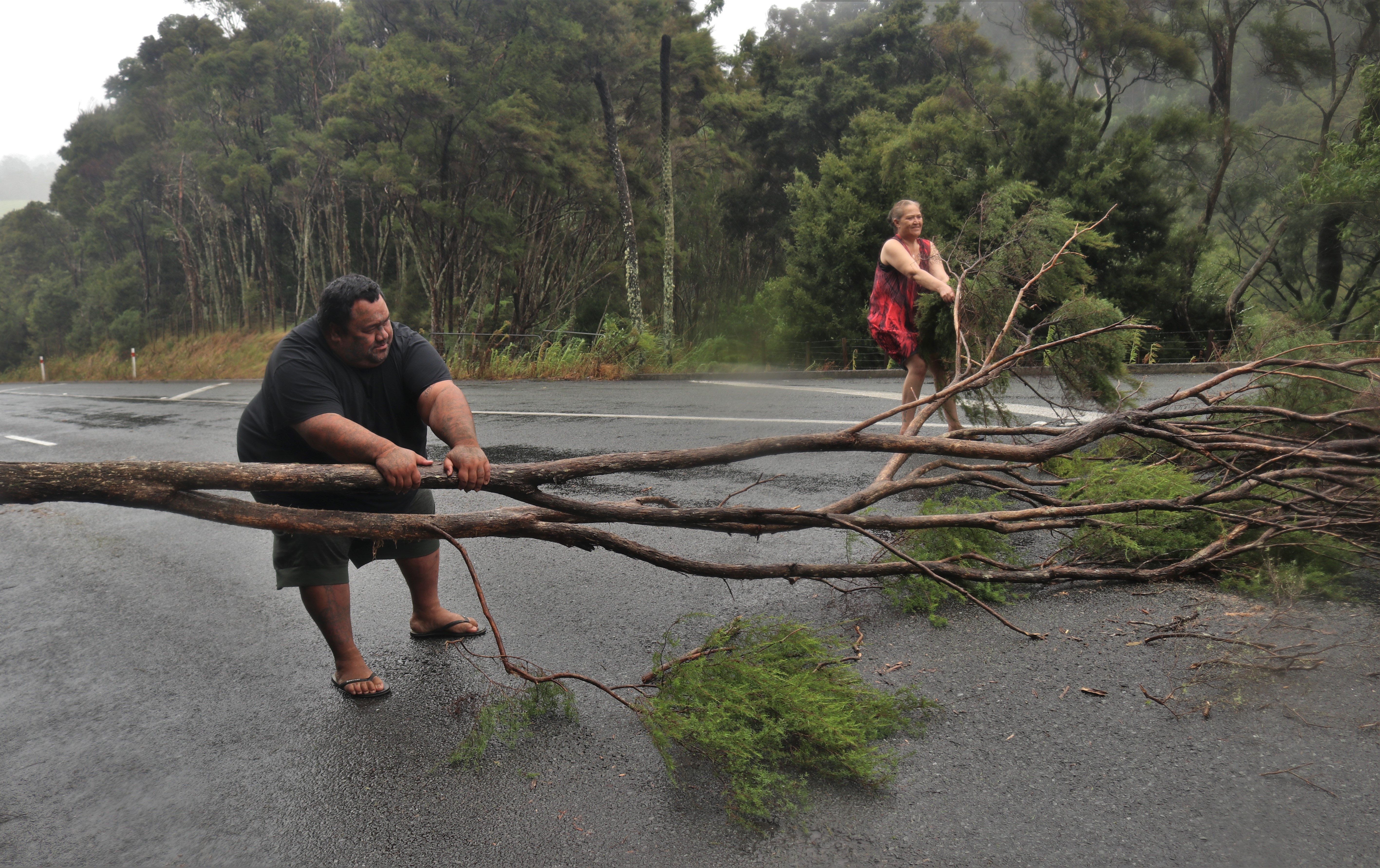 Residents move a downed tree blocking State Highway 11 at Lemon’s Hill. Photo / Peter de Graaf