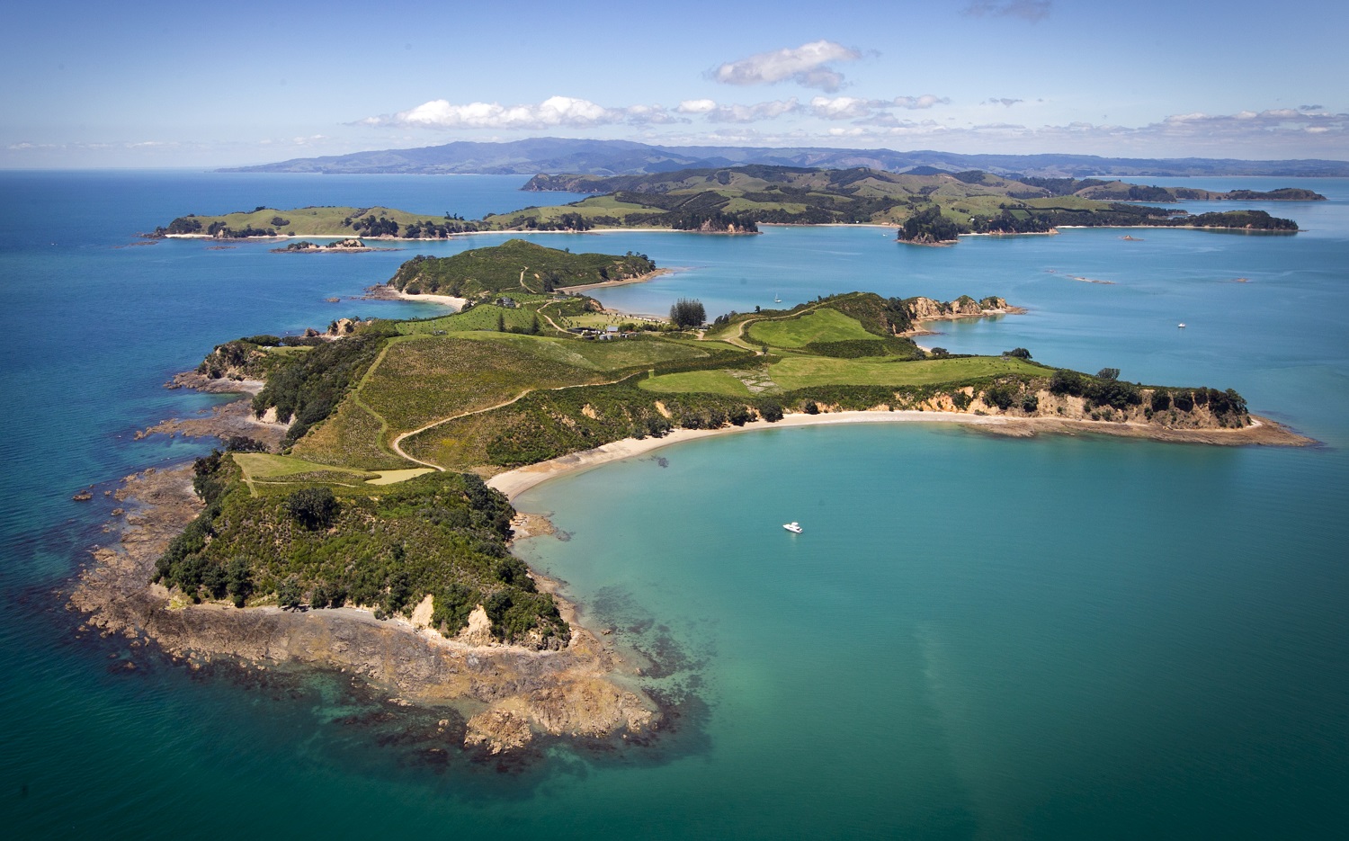 The new protections for the Hauraki Gulf will be included in the bill, which now includes a bottom trawling ban for the vast majority of the Hauraki Gulf. Photo / Natalie Slade