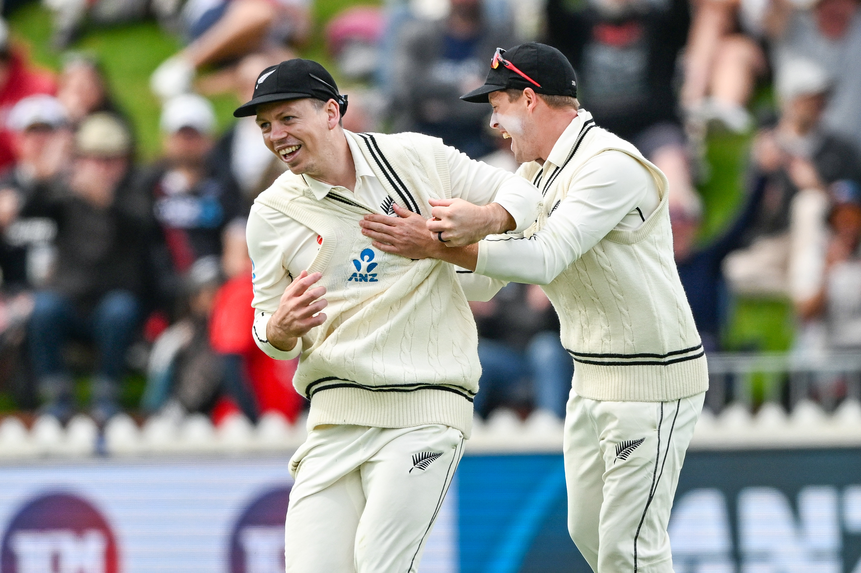 Cricket: Dominant Bay back on path to cup - NZ Herald