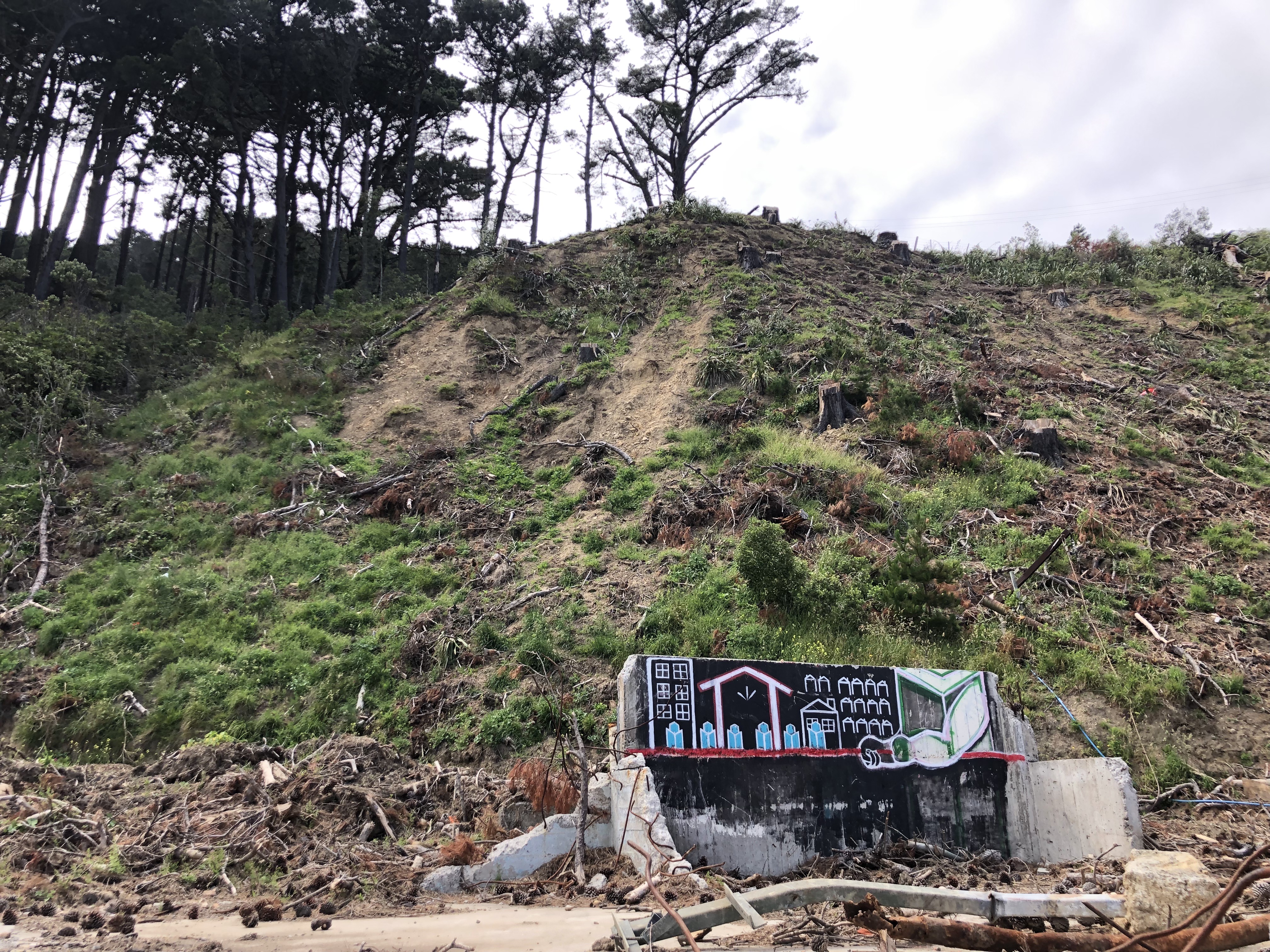 About 185 trees have been felled to make way for the development. Photo / Georgina Campbell