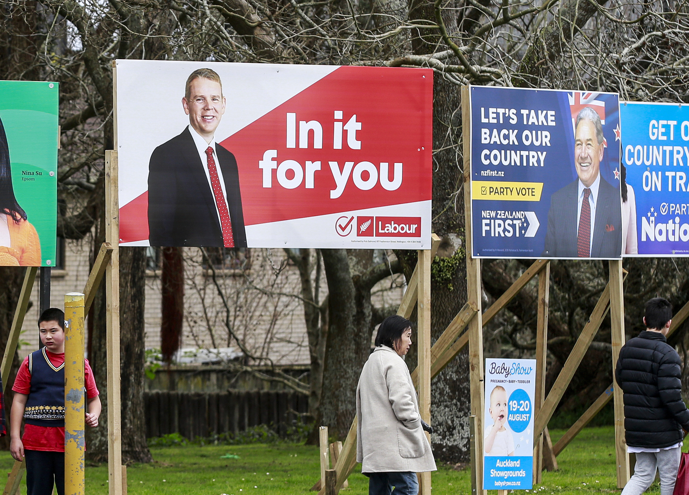 Election hoardings in 2023.  Photo / Alex Burton 