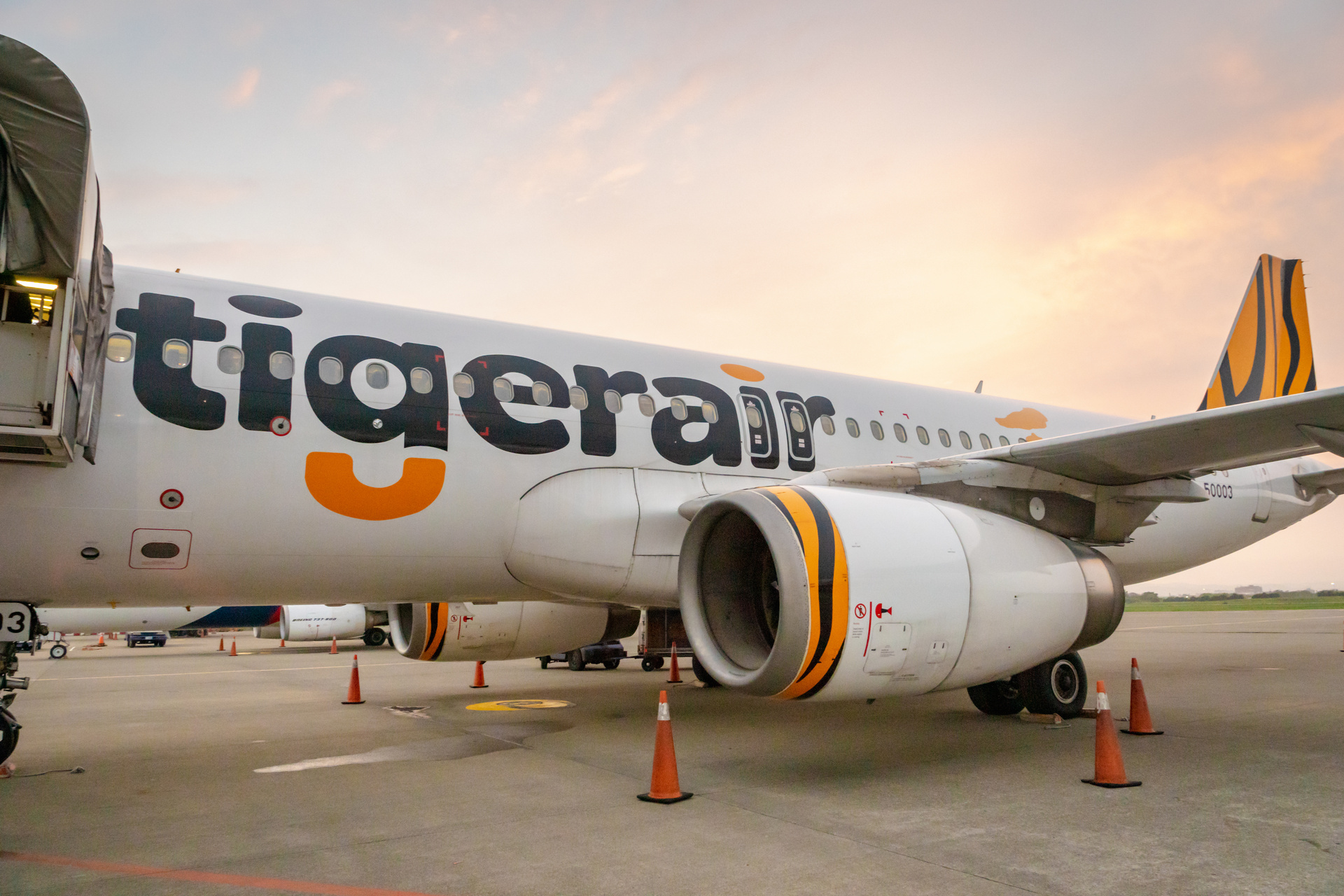 tigerair lost baggage