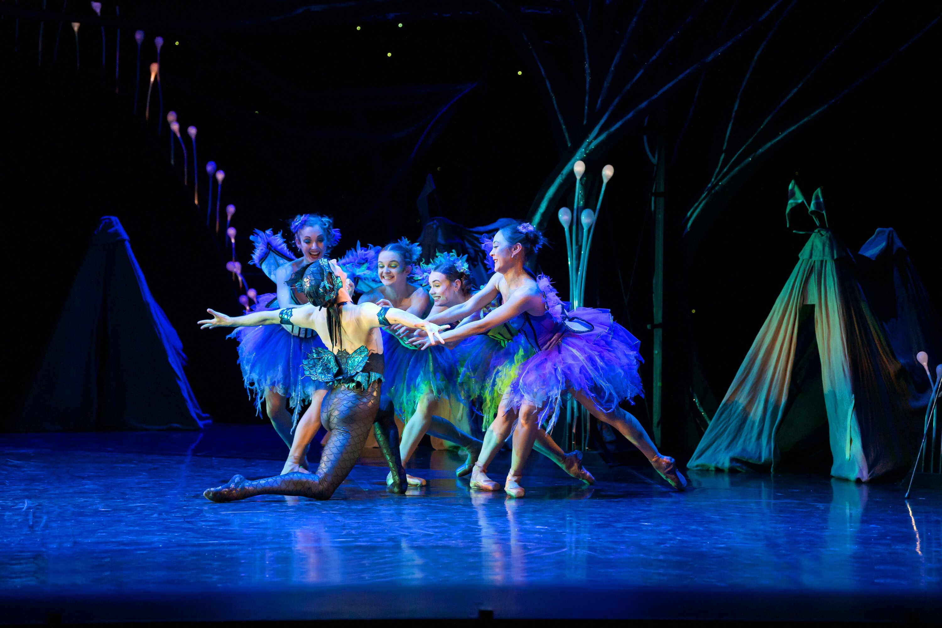 The Royal New Zealand Ballet will perform A Midsummer Night's Dream in Rotorua on Thursday. Photo / Stephen A'Court