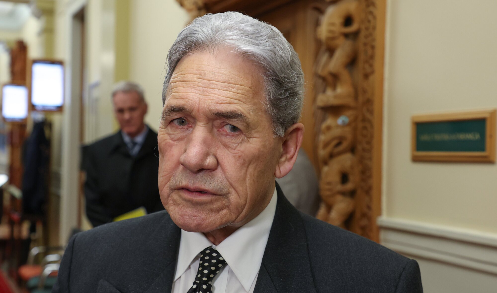 NZ First's Winston Peters has also taken jabs at National in the past. Photo / Mark Mitchell