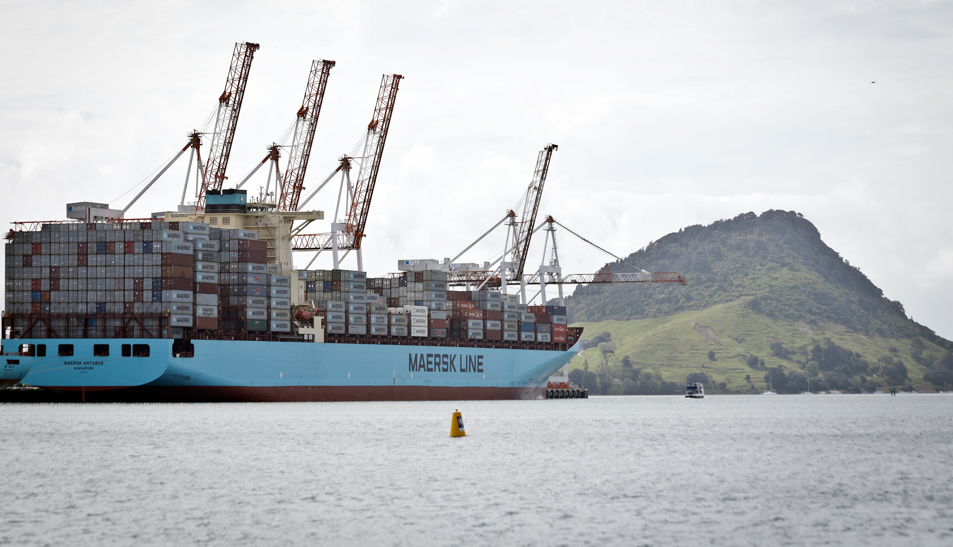 The Maersk Antares arrived in Tauranga from Chile last year with 46kg of cocaine hidden on board. Photo / Andrew Warner