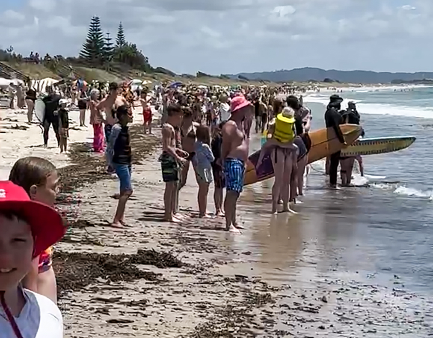 Beachgoer James Graham says New Year's Day 2024 will be remembered as the day the killer whales came to Waipū Cove. Photo / James Graham
