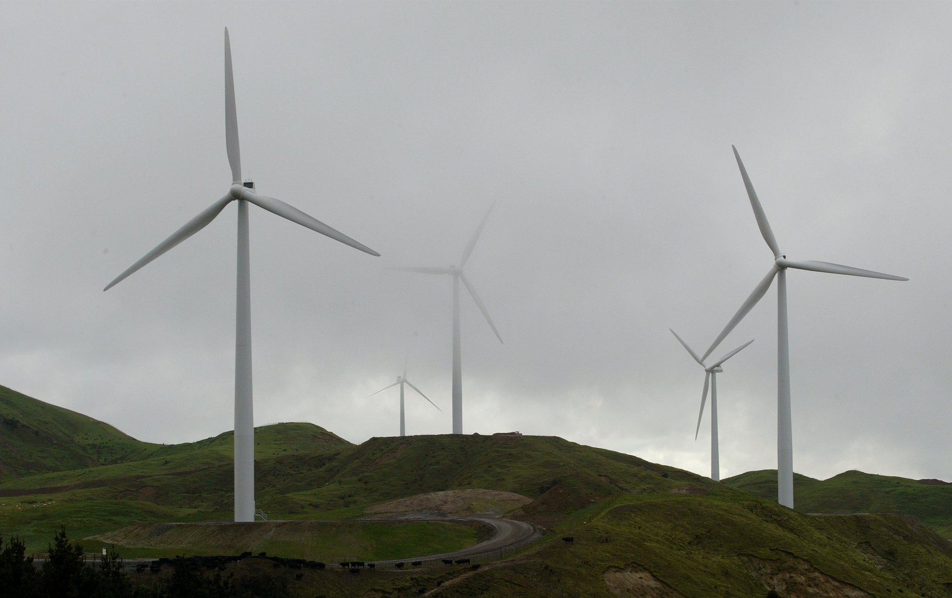 The pros and cons of setting up a Renewable Energy Zone in Northland is being looked at 
by Transpower and lines companies.
Photo / NZME