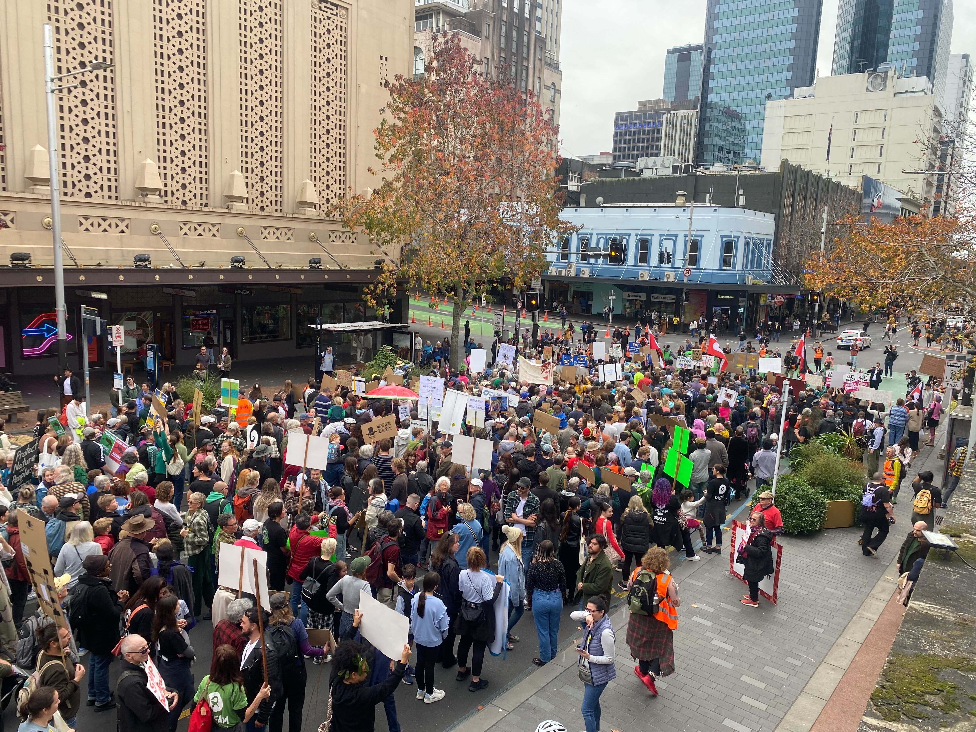 Over 20,000 people protest for March for Nature in Auckland's CBD against the Government's fast-track bill and 'war on nature'. Photo / George Block