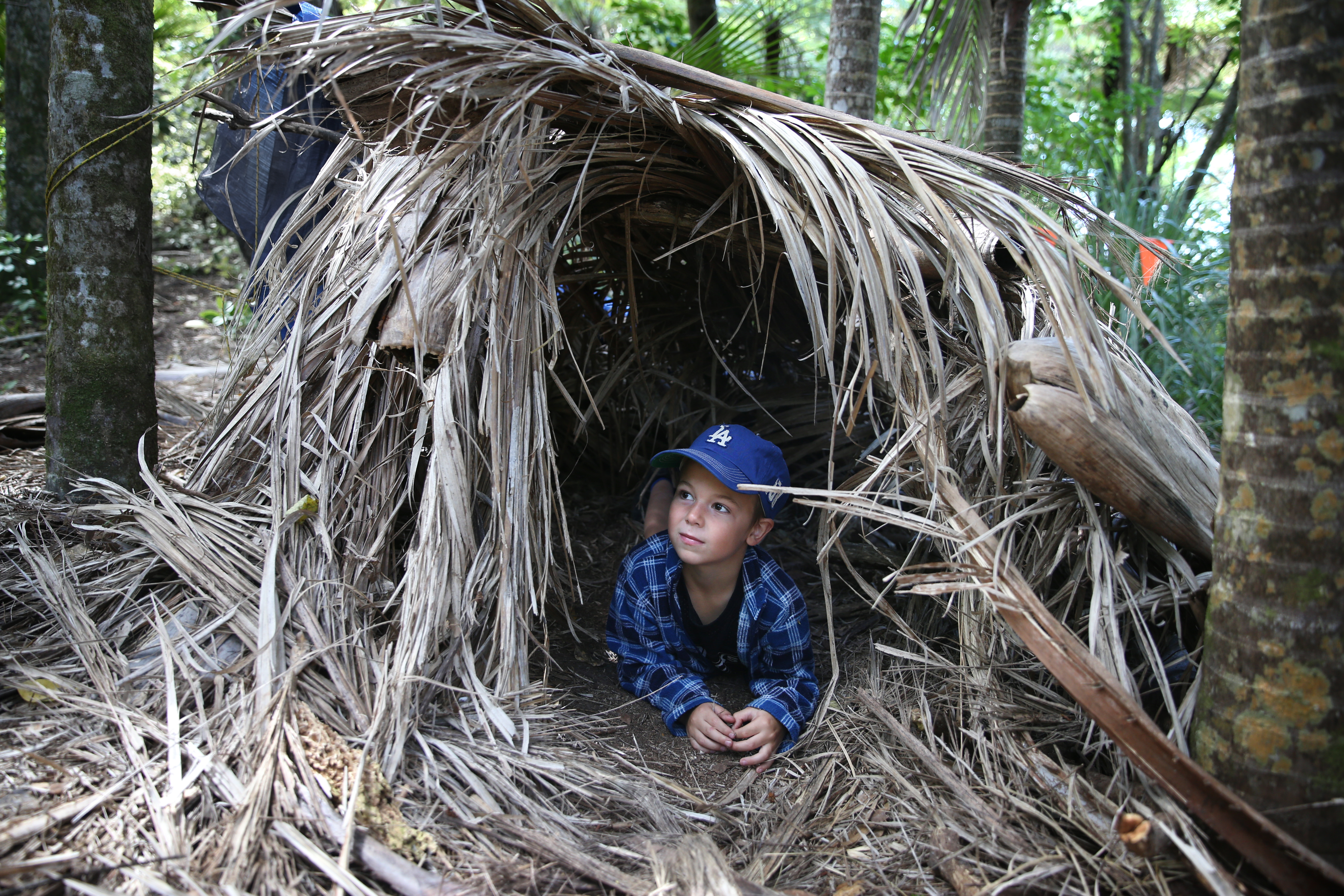 Riley Evans, 6, finds one of the bush hiding places at the Forest School. Photo / Doug Sherring