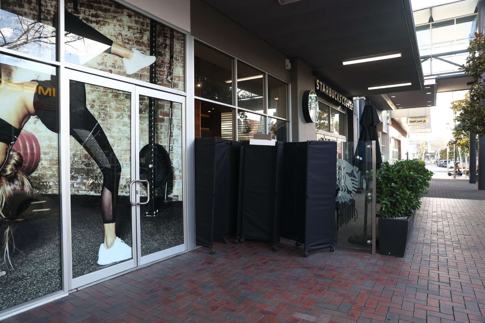A Starbucks in Christchurch was ramraided overnight. Photo / Anna Heath