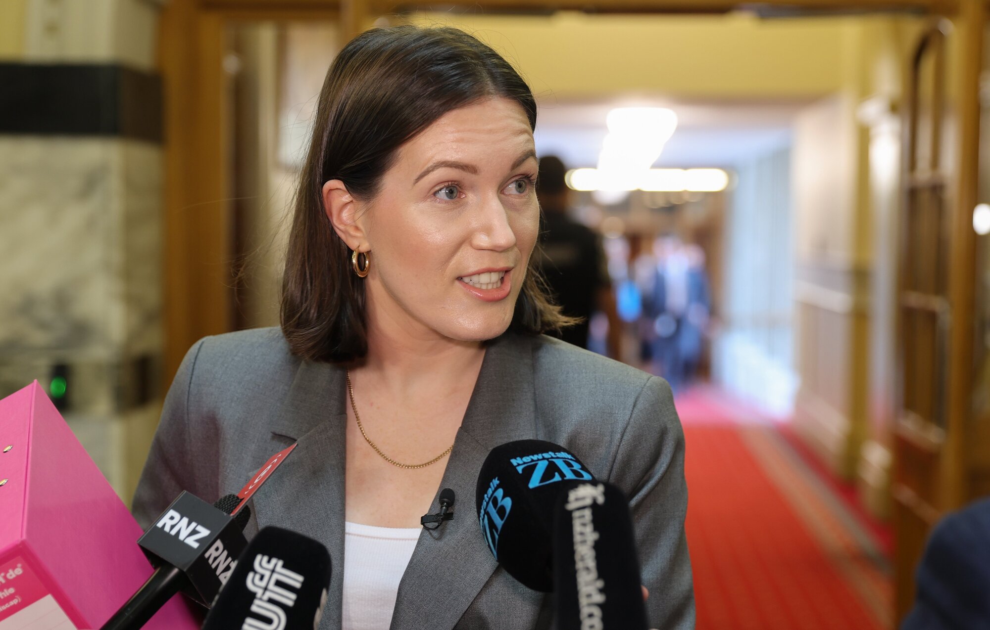 Ministers such as Brooke van Velden worked to keep pay equity changes secret to prevent a surge in claims. Photo / Mark Mitchell