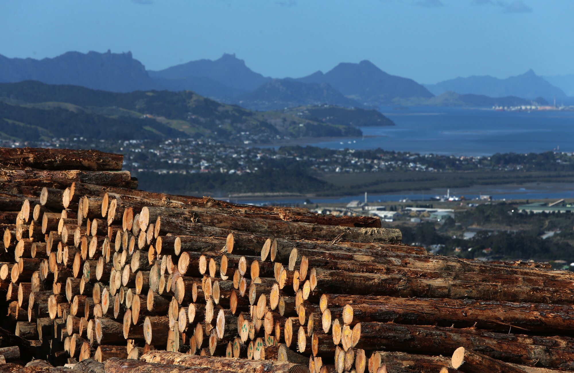 Many people think of Northland as a nice place to visit but don't realise its economic muscle, says Northland Corporate Group co-chairman Andrew McLeod. Photo / NZME