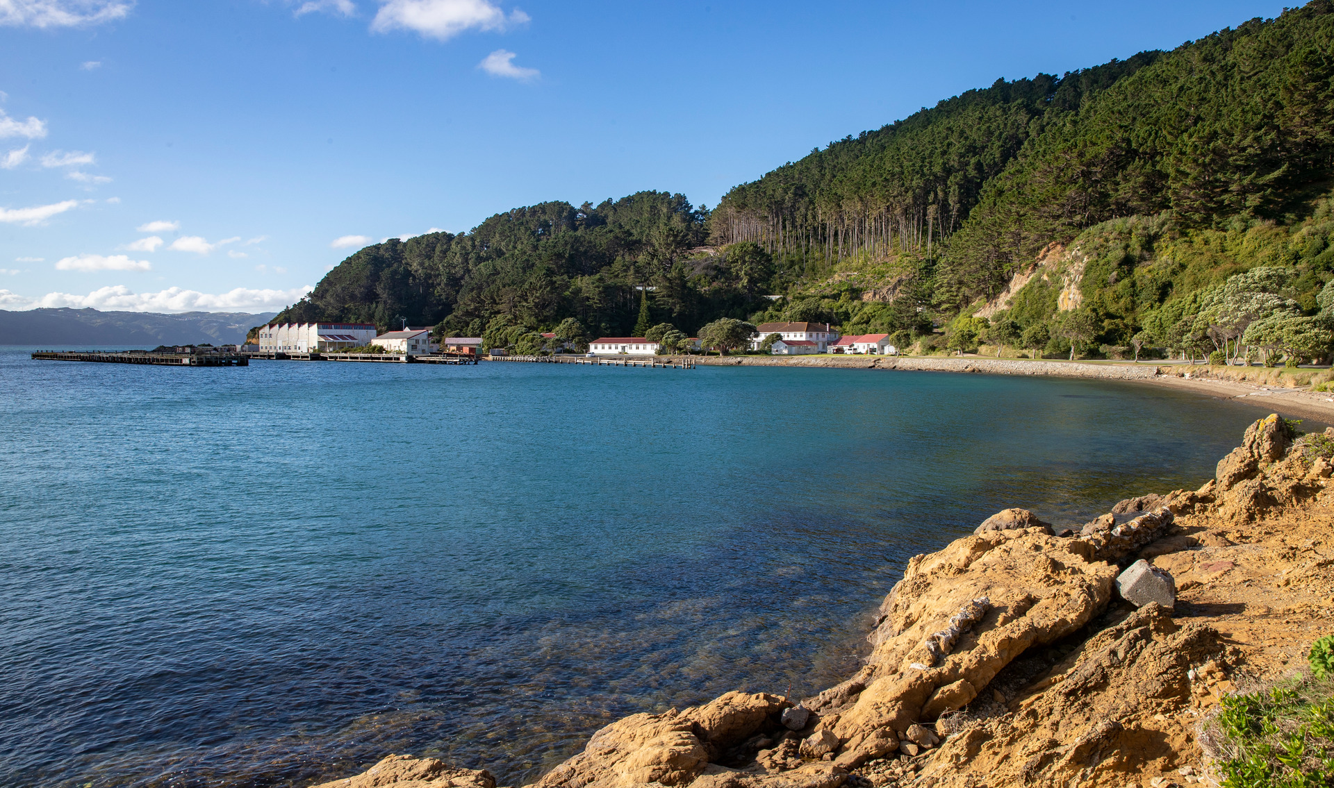 Shelly Bay South as it is now. Photo / Mark Mitchell.