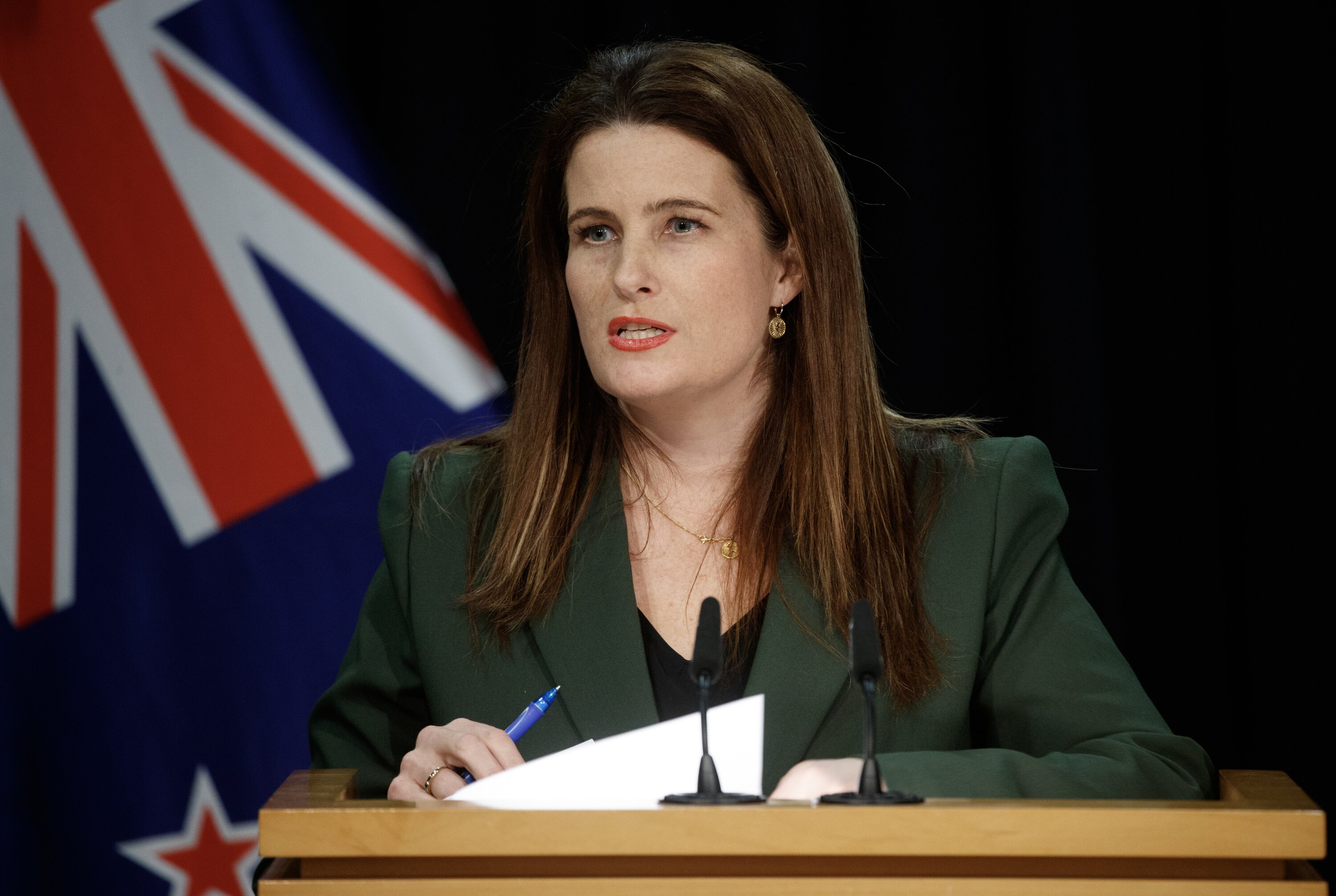 Public Service Minister Nicola Willis said the Government had scrapped the progressive procurement policy. Photo / Mark Mitchell