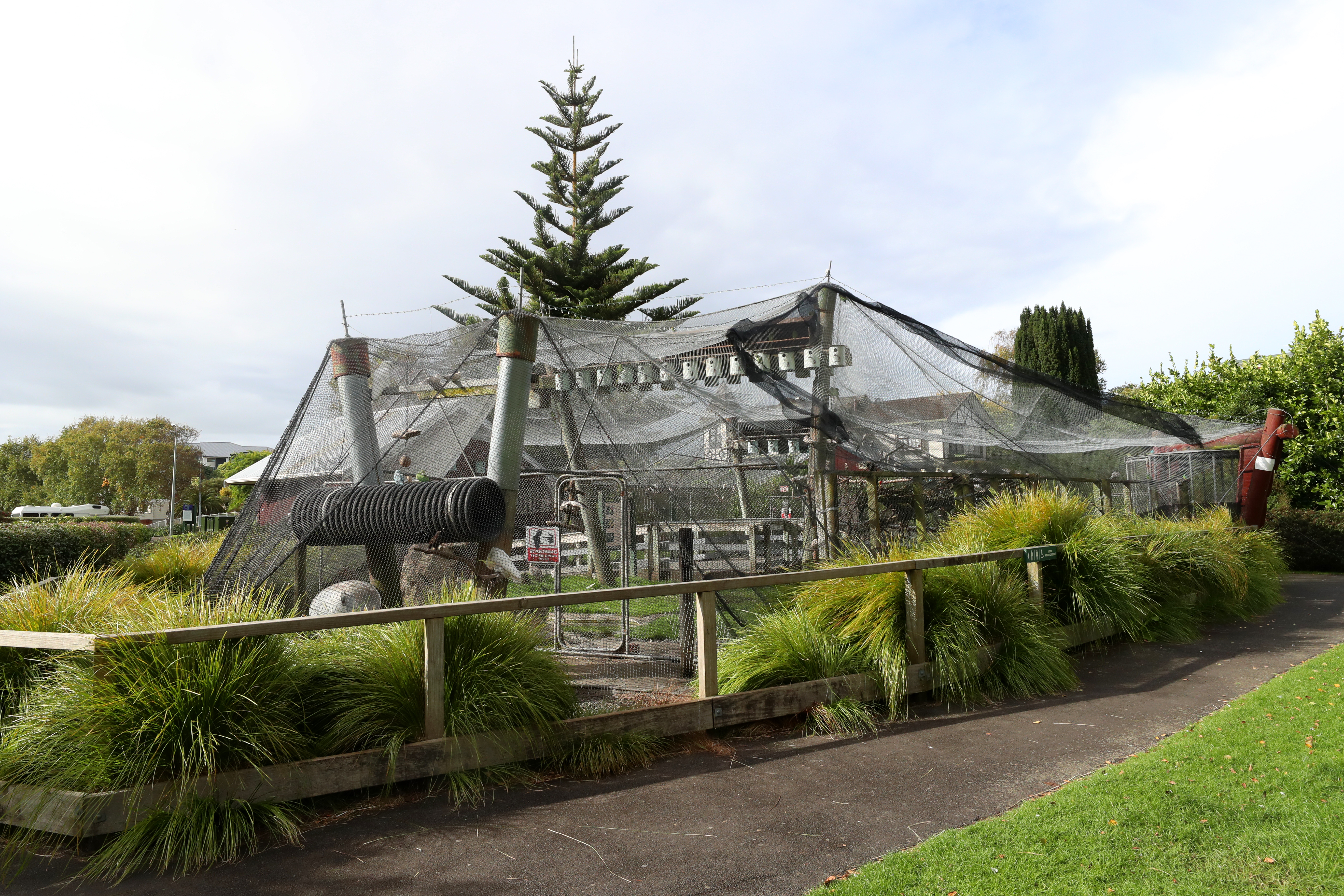 Only 38 submitters said they wanted the aviary to be closed. Photo / Bevan Conley
