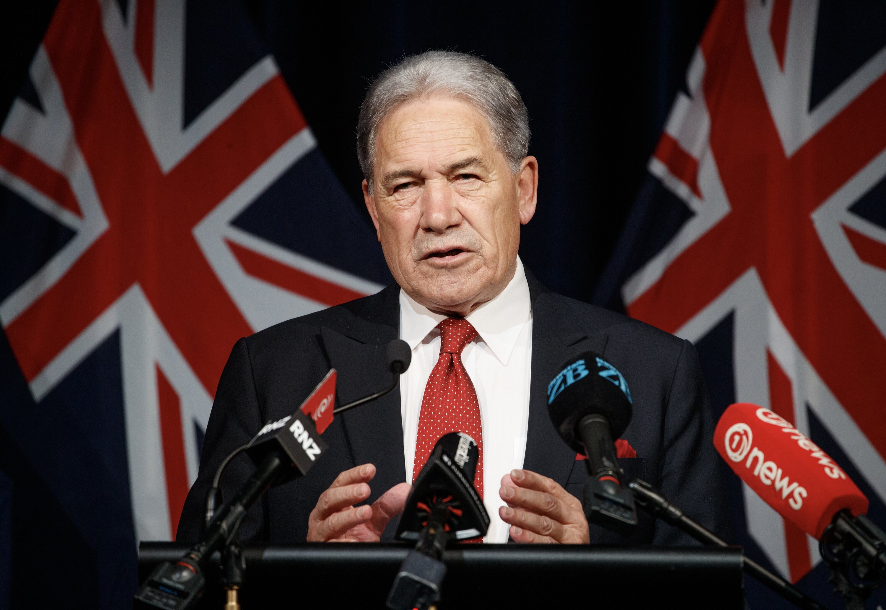 Foreign Minister Winston Peters will deliver a speech to the New Zealand China Council today. Photo / Mark Mitchell.