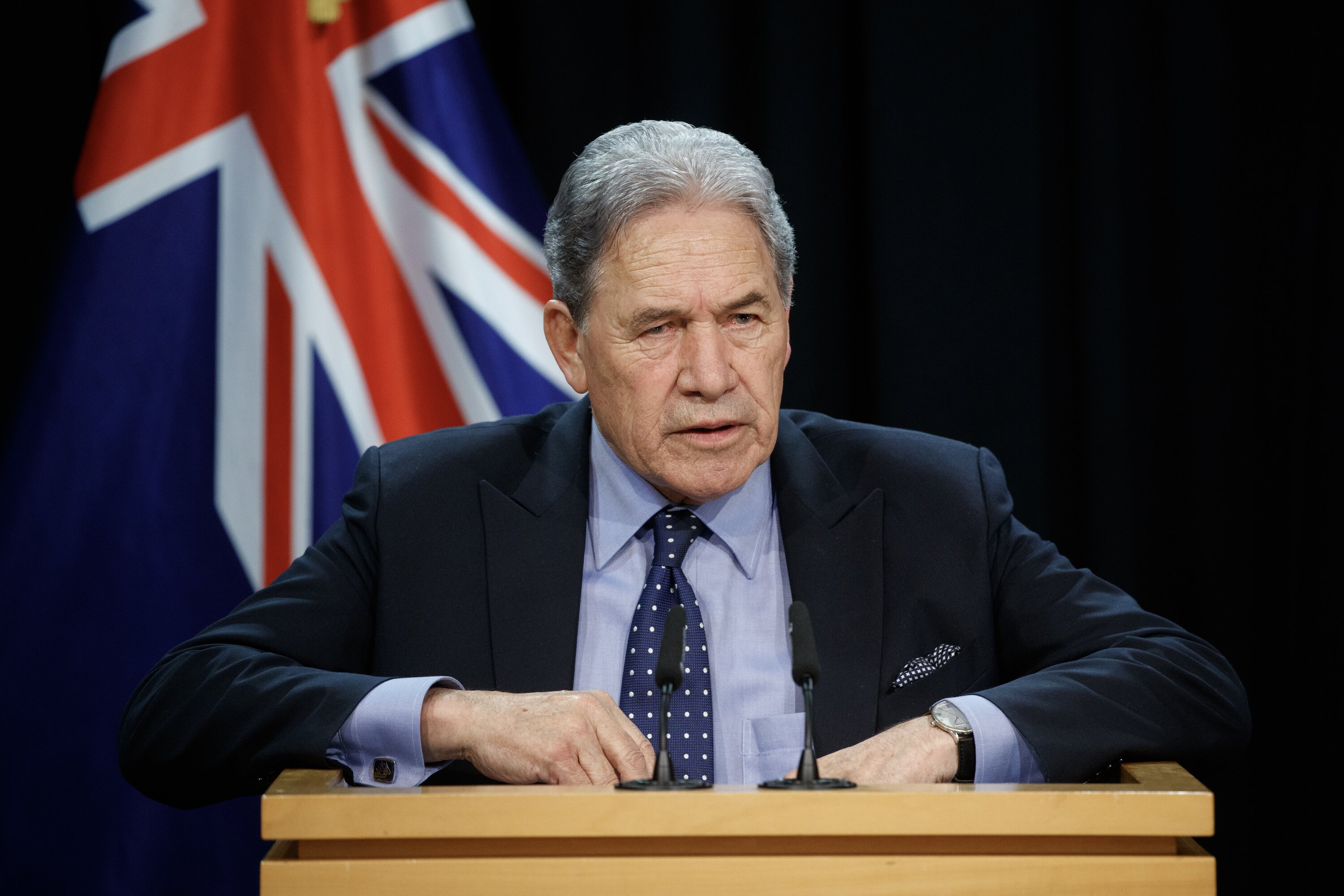 NZ First party leader Winston Peters opposed National's election policy that would have taxed foreign buyers of high-end New Zealand homes. Photo / Mark Mitchell