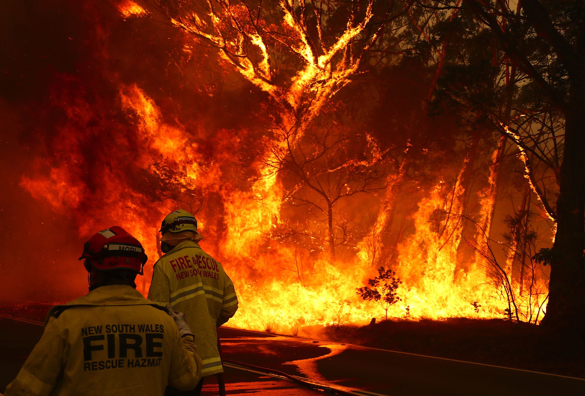 Volunteer Firefighter 19 Among 183 People Charged With Lighting Fires In New South Wales Nz Herald