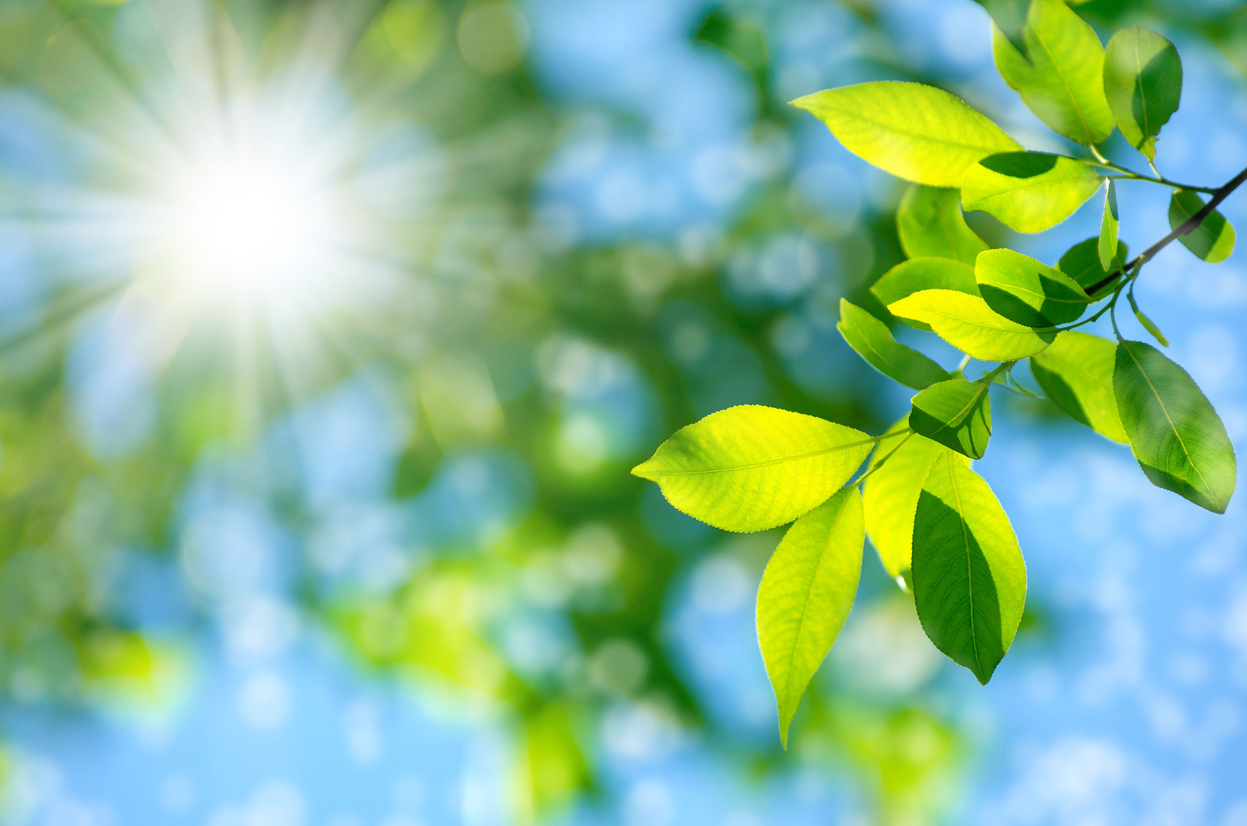 When it comes to keeping your biological clock running on time, there's no substitute for natural light - especially in the morning. Photo / 123RF
