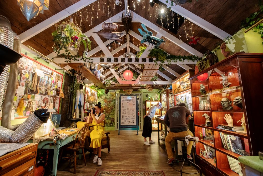 The Artist Shed in the Fantasy Section
