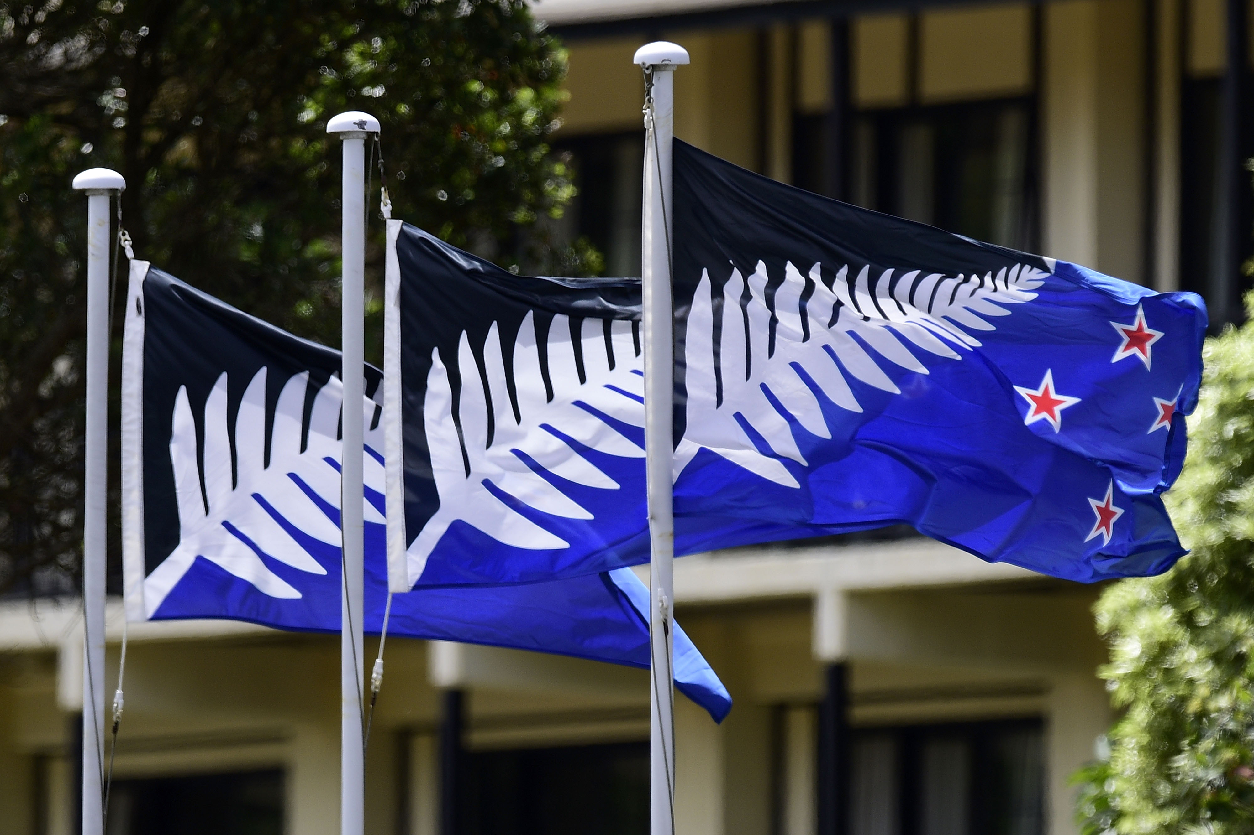 The Kyle Lockwood silver fern design was rejected by New Zealanders. Photo / Getty Images