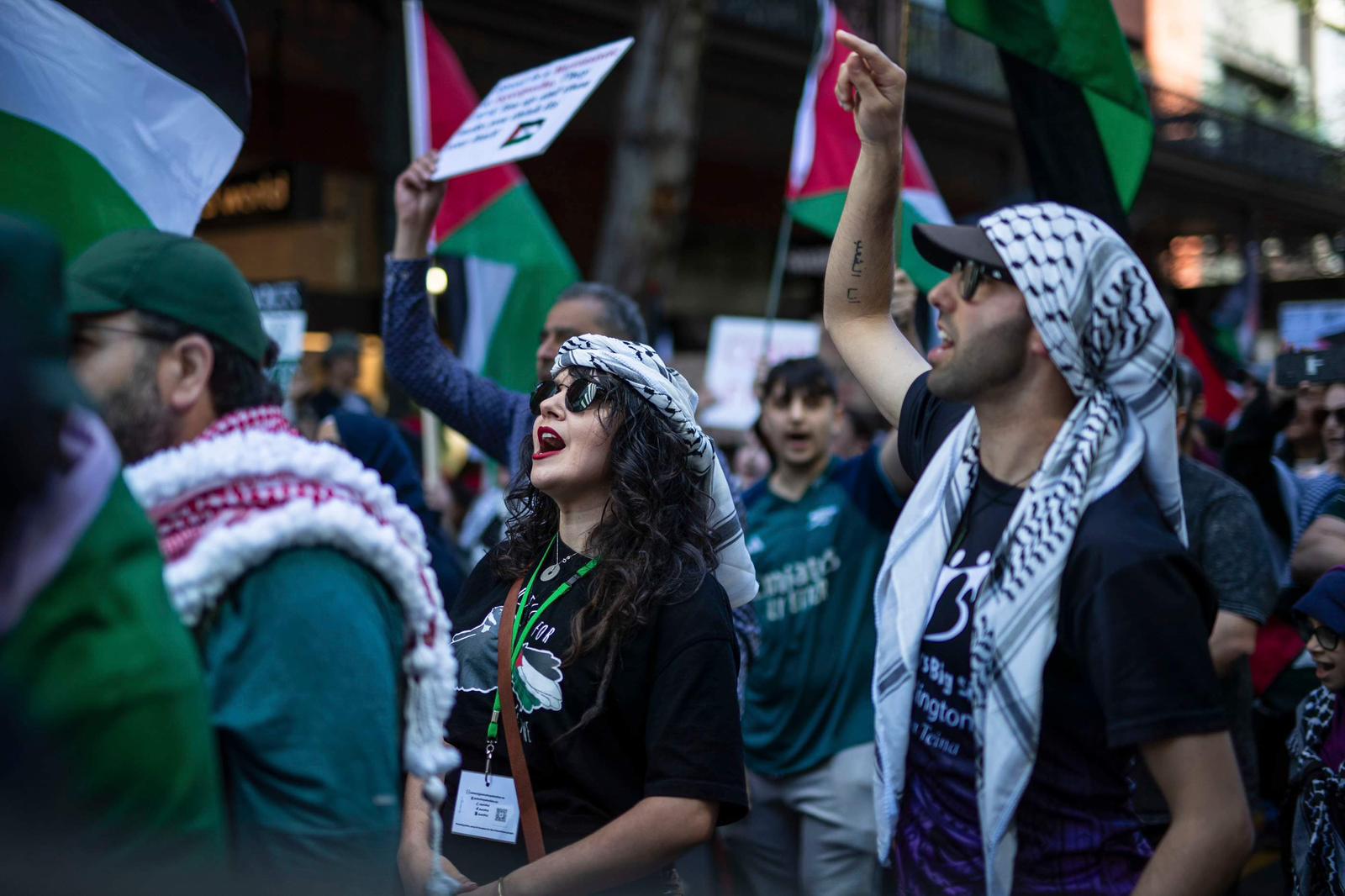 Scenes from previous pro-Palestine protests in Auckland. Photo / Ted Black