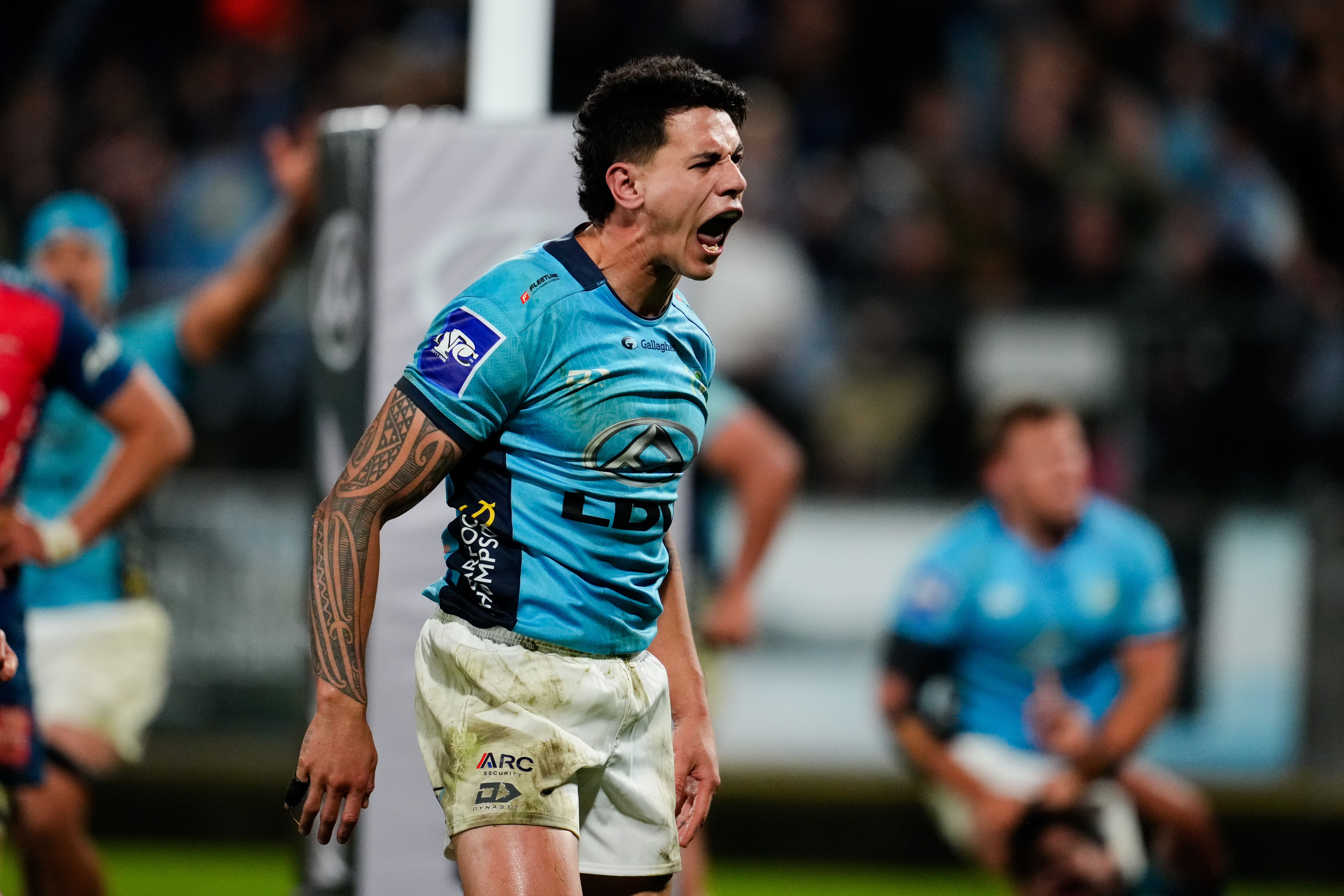 Northland's win over Tasman showed a Taniwha side built for