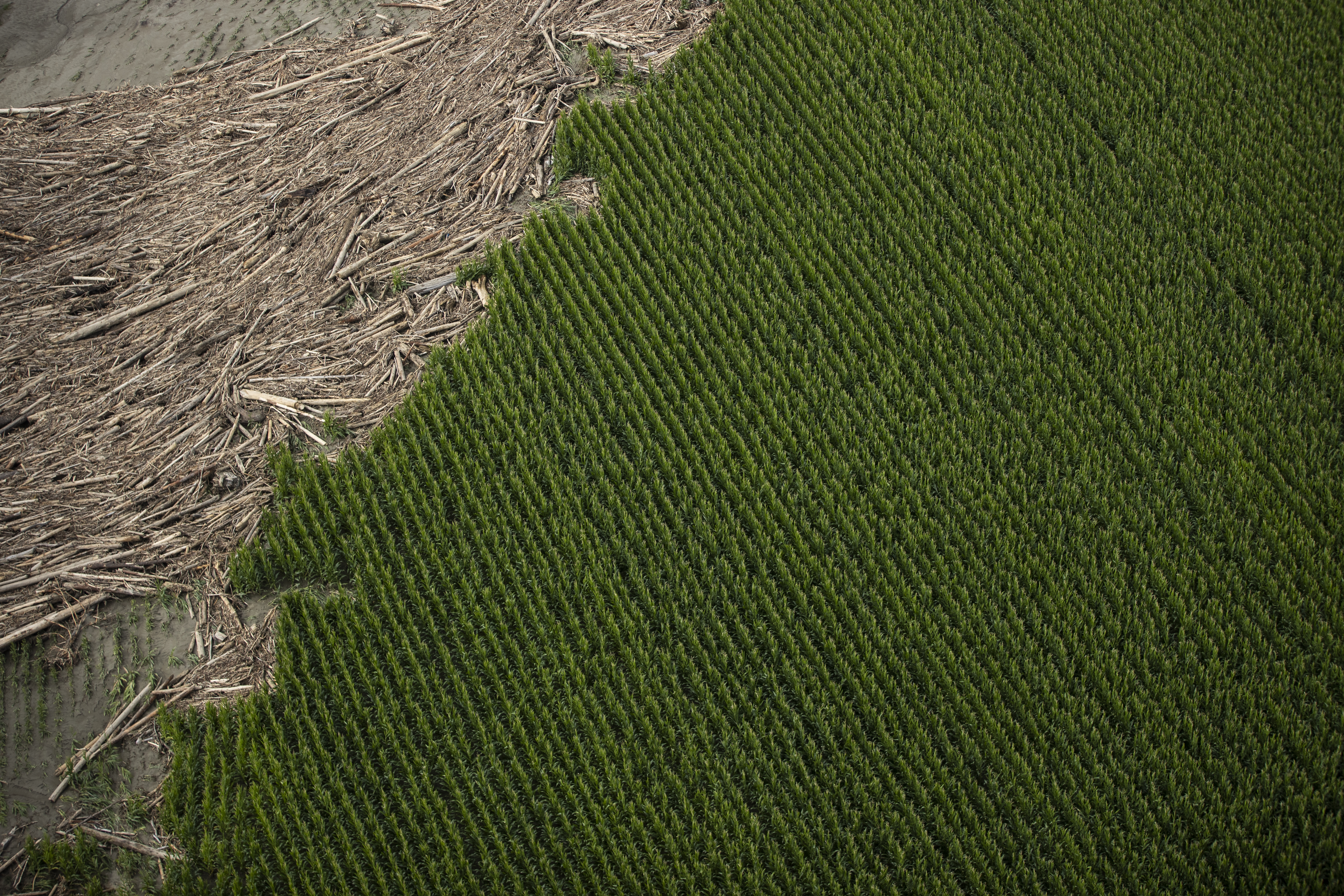 State Highway 35, near Mangatuna north of Gisborne, as it appeared on February 17, 2023. Photo / George Heard