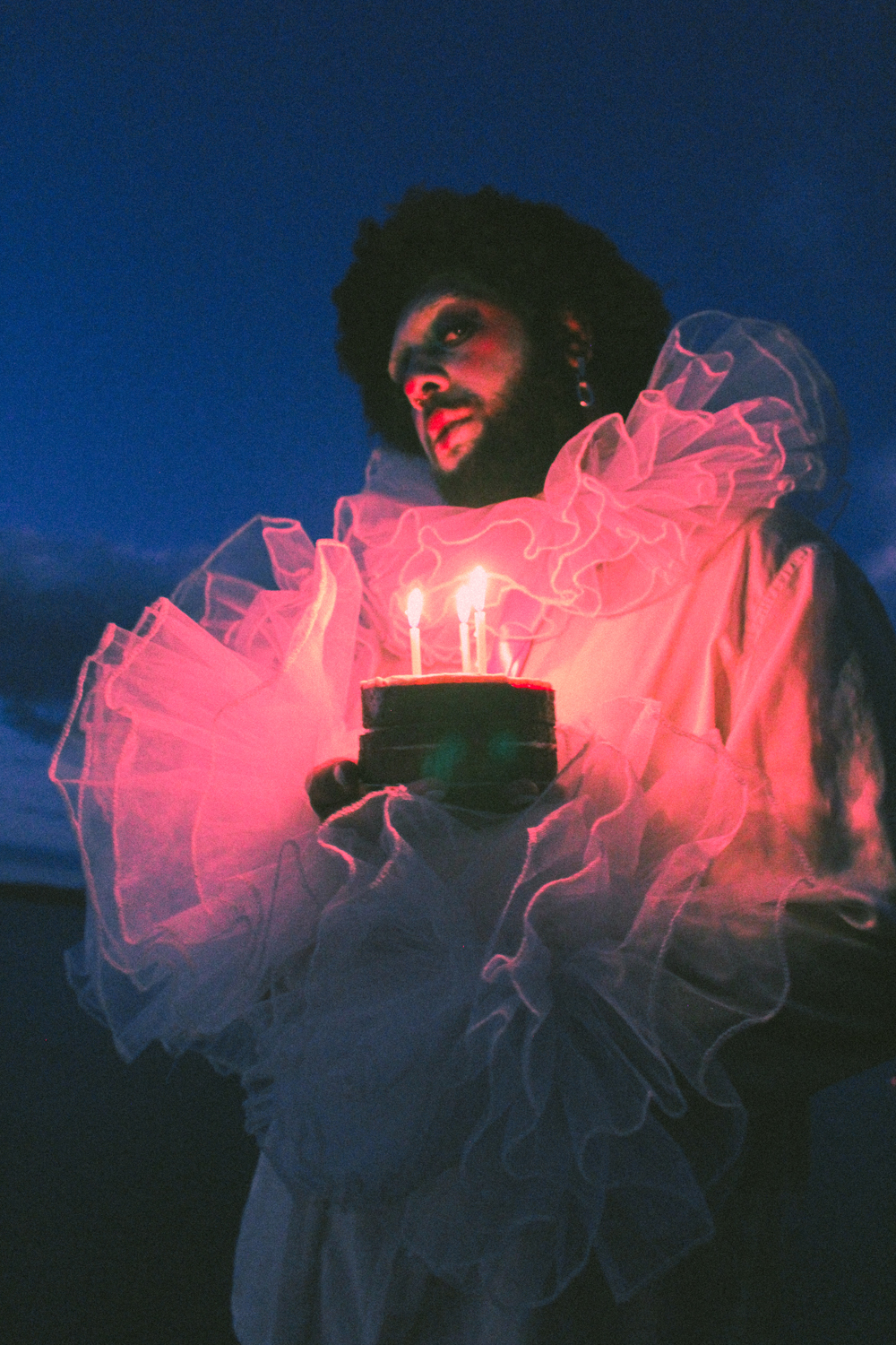 Peter Wing in 'Life of the Party Series, 2022'. Photo / Rarogrl and Ashley Southgate