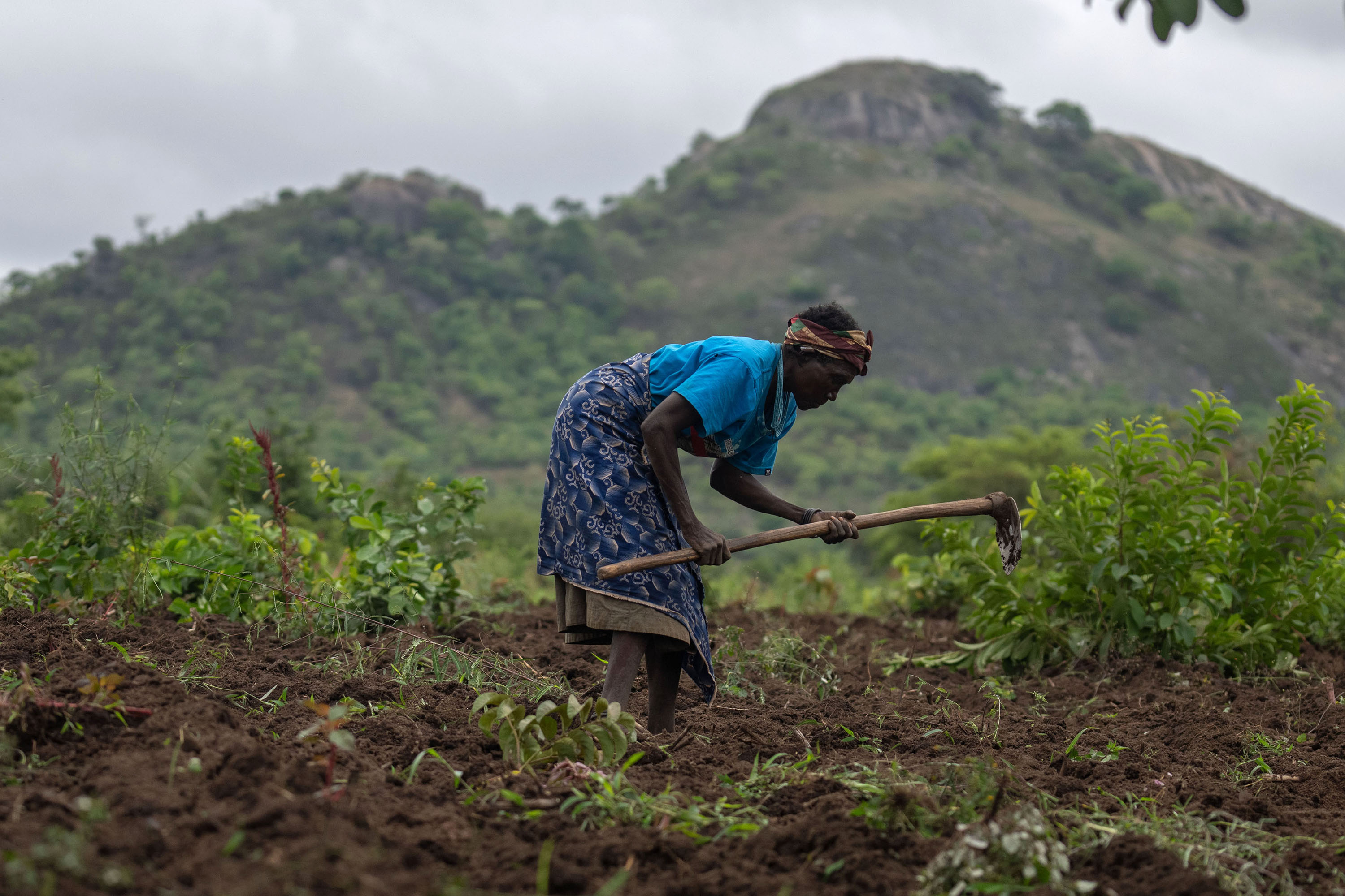 A USAID programme has supported female farmers in Cubal, Angola. The agency spent just under $106.6 million on contraceptives worldwide in fiscal year 2023, the vast majority in Africa and none in Gaza. Photo / Joao Silva, The New York Times