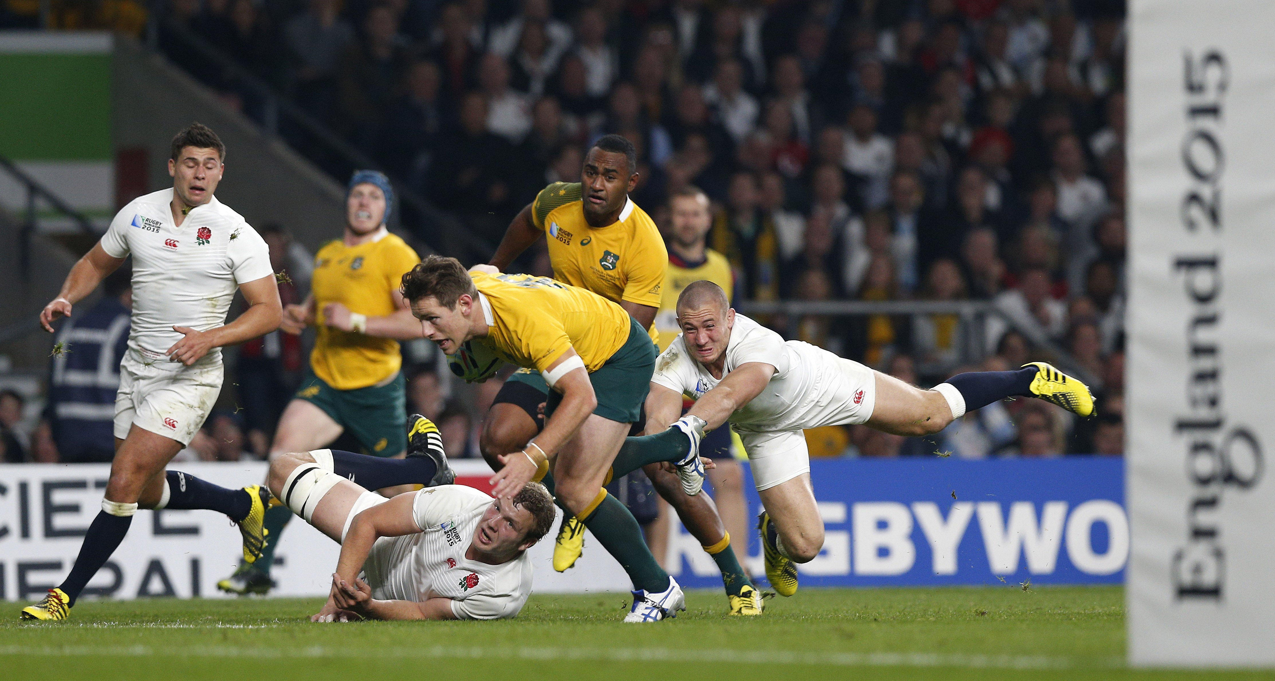 Rugby Union: Gareth Anscombe has joined Cardiff Blues from Waikato Chiefs, Rugby Union News