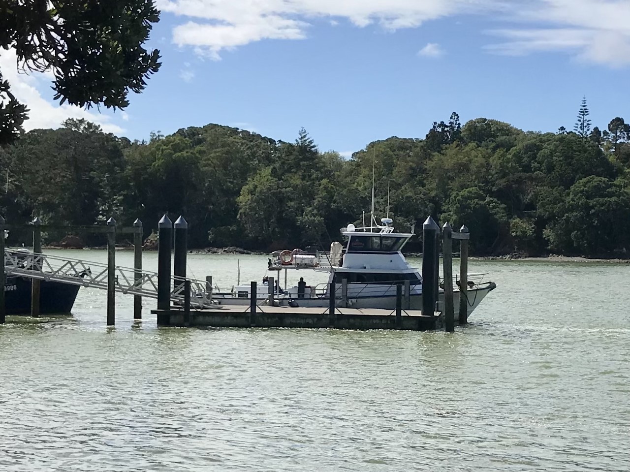 The Cova Rose was to be heading out for a charter as news came in of Enchanter's sinking. Photo / David Fisher