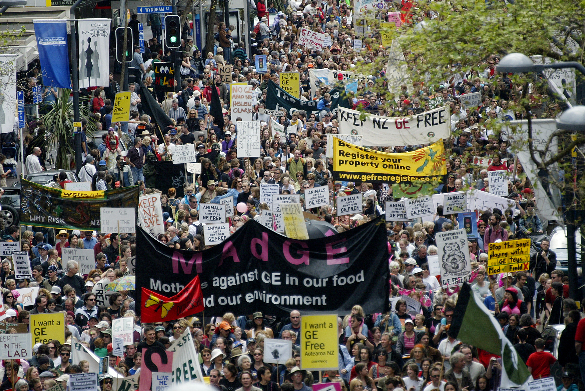 A sea of anti-GM protestors fill Auckland's Queen St in October 2003. The GM debate flared up in the early 2000s, amid a Royal Commission and 2002's Corngate scandal. Photo / Glen Jeffrey