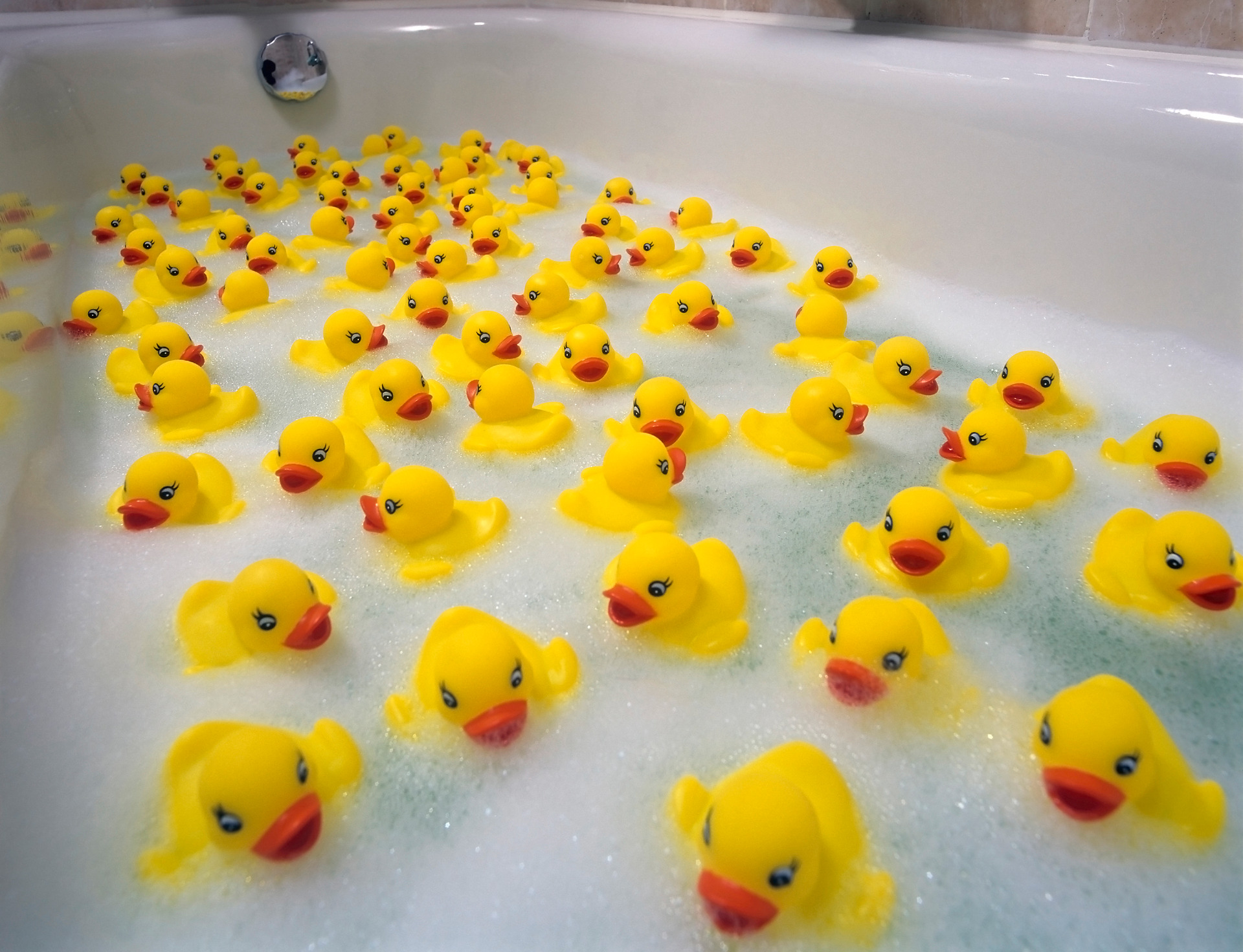 anti mould bath toys