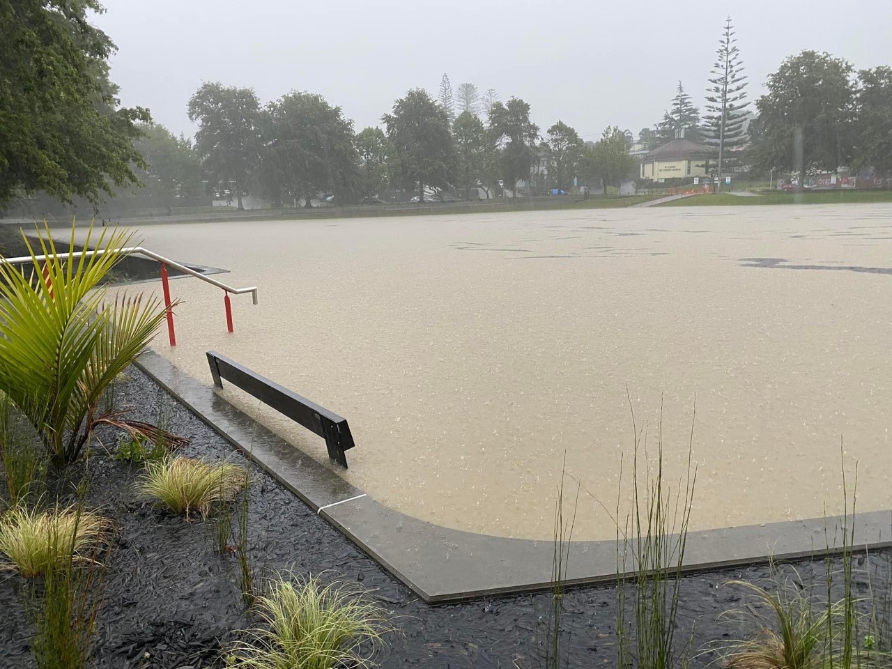 Northcote's recently redeveloped Greenslade Reserve has been soaking up vast amounts of water in this year's big floods. Photo / supplied
