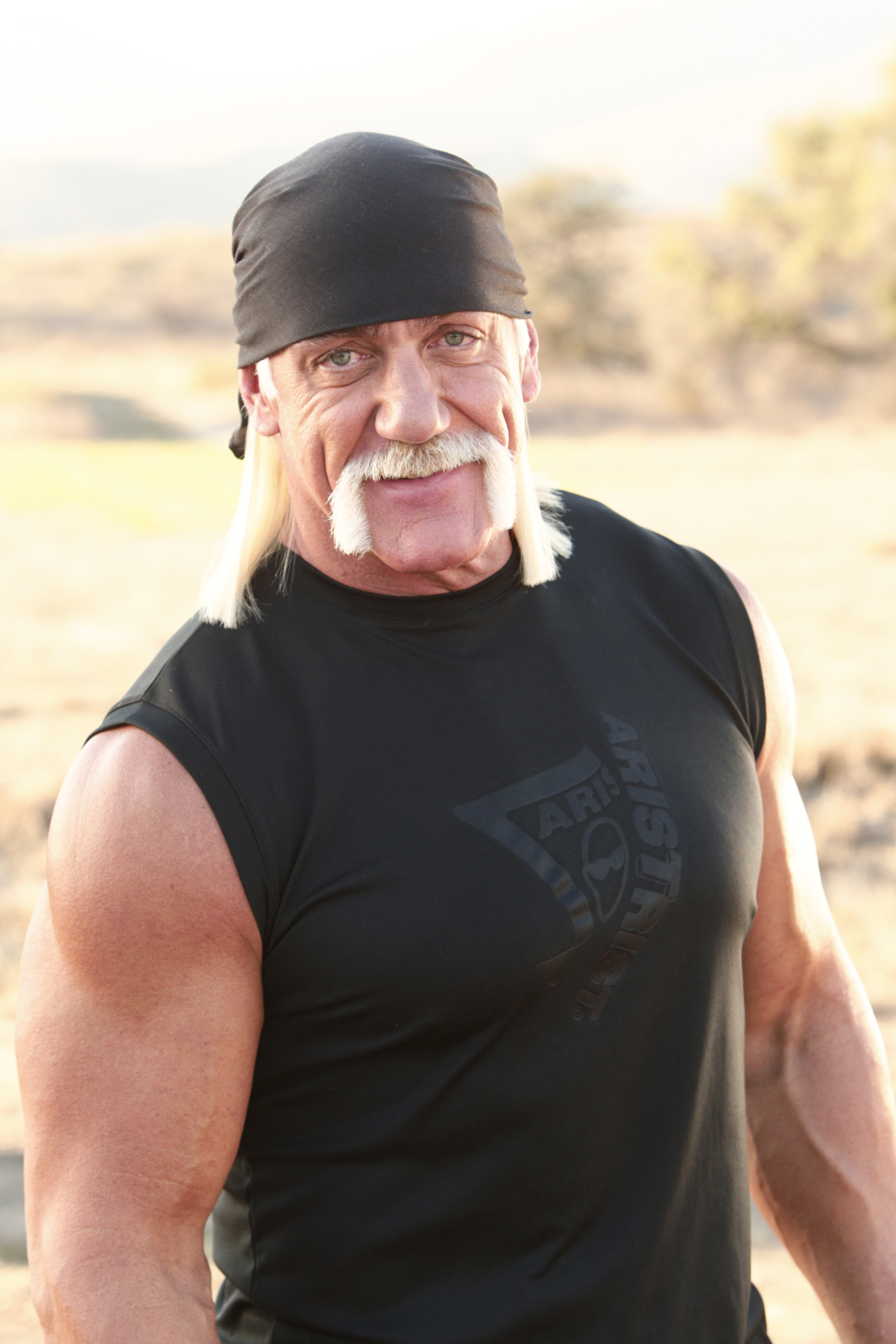 Hulk Hogan to sue over leaked sex tape pic