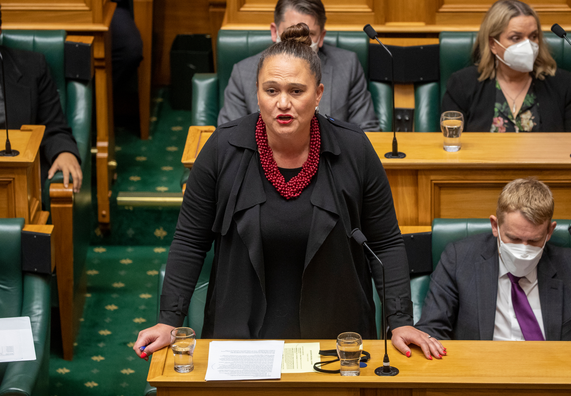 Arts, Culture and Heritage Minister Carmel Sepuloni. Photo / NZME