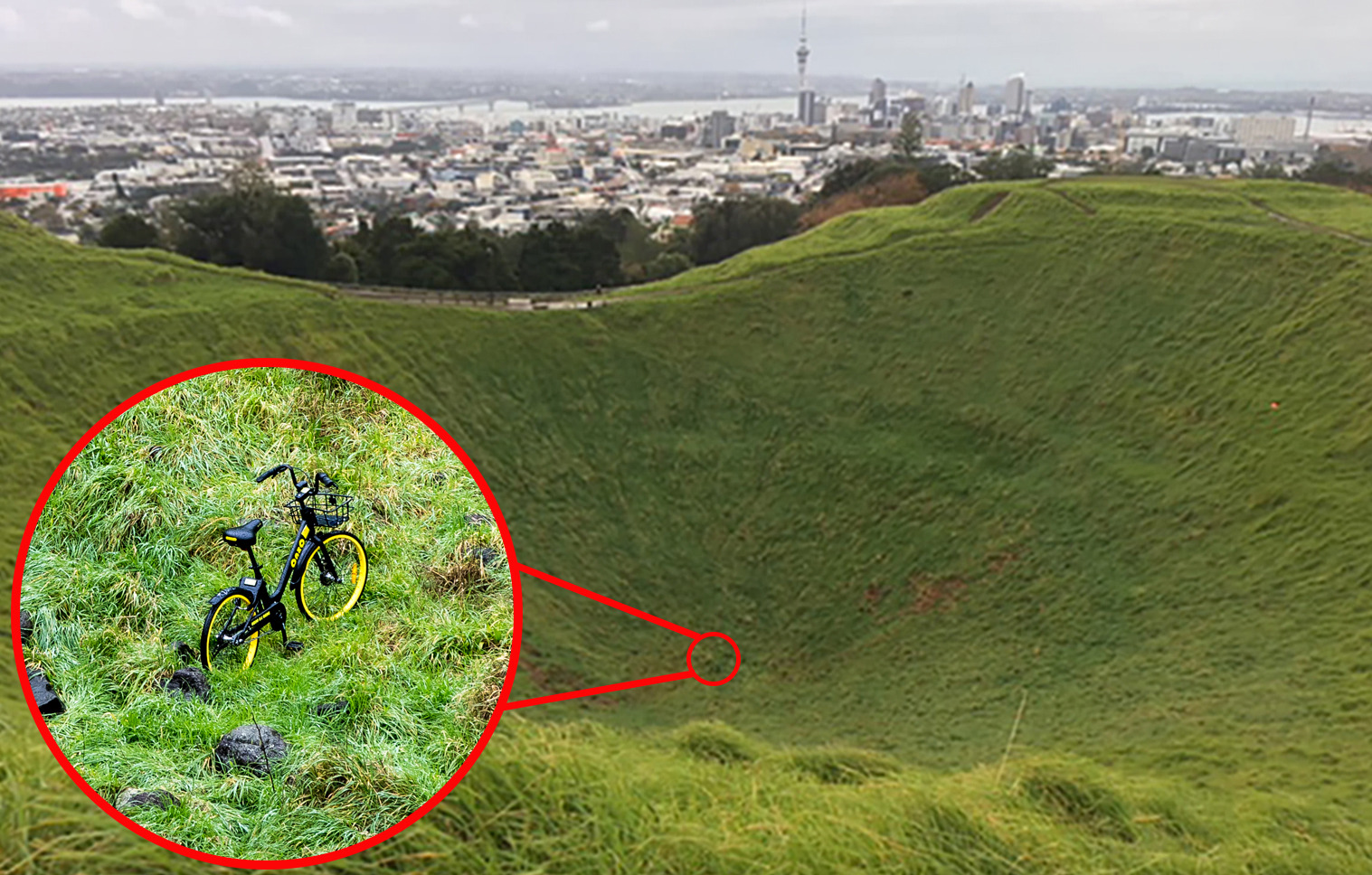 mt eden cycle