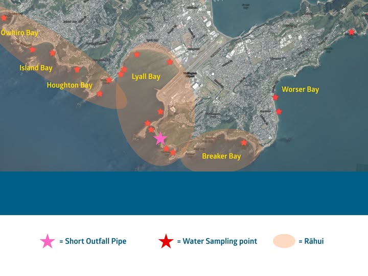 A rāhui has been in effect for more than two weeks across the South Coast, from Breaker Bay to Ōwhiro Bay, following the major incident at the Moa Point Wastewater Treatment Plant. Photo / Wellington Water
